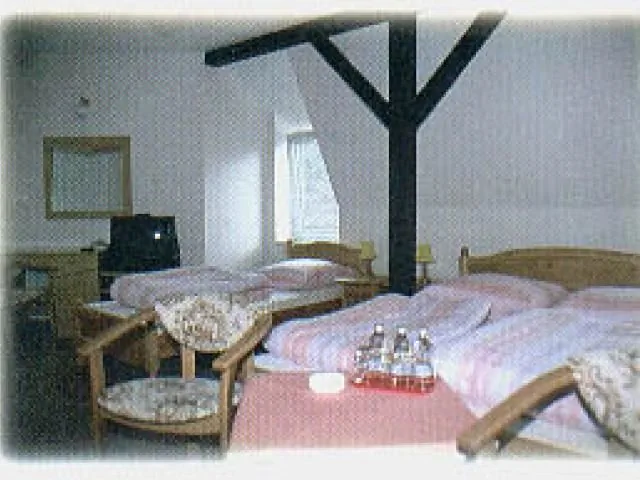 PARK-HOTEL ŚWIDNICA – Świdnica, Polska