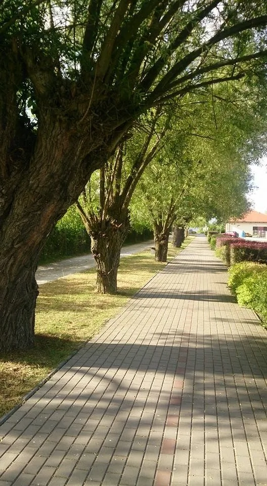 Ośrodek wypoczynkowy Oaza Wągrowiec – Wągrowiec, Polska
