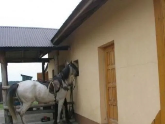 Gospodarstwo Agroturystyczne HARLEJÓWKA Staszów – Staszów, Polska