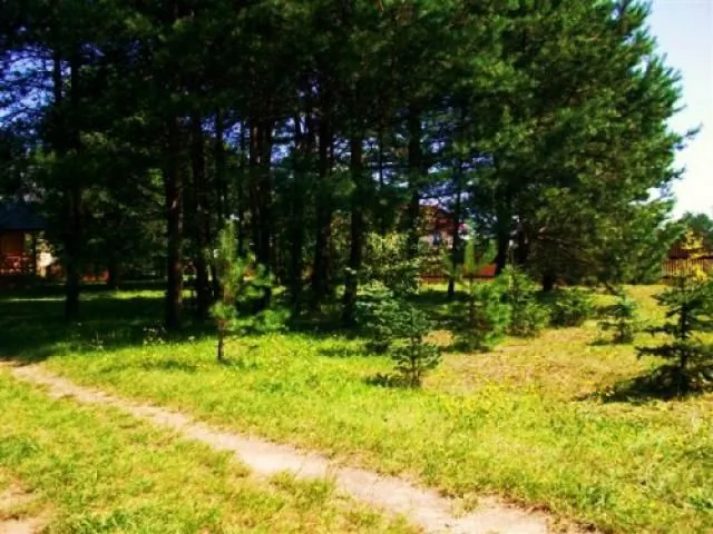 "U ALEKSA" DOMKI CALOROCZNE Susiec – Susiec, Polska