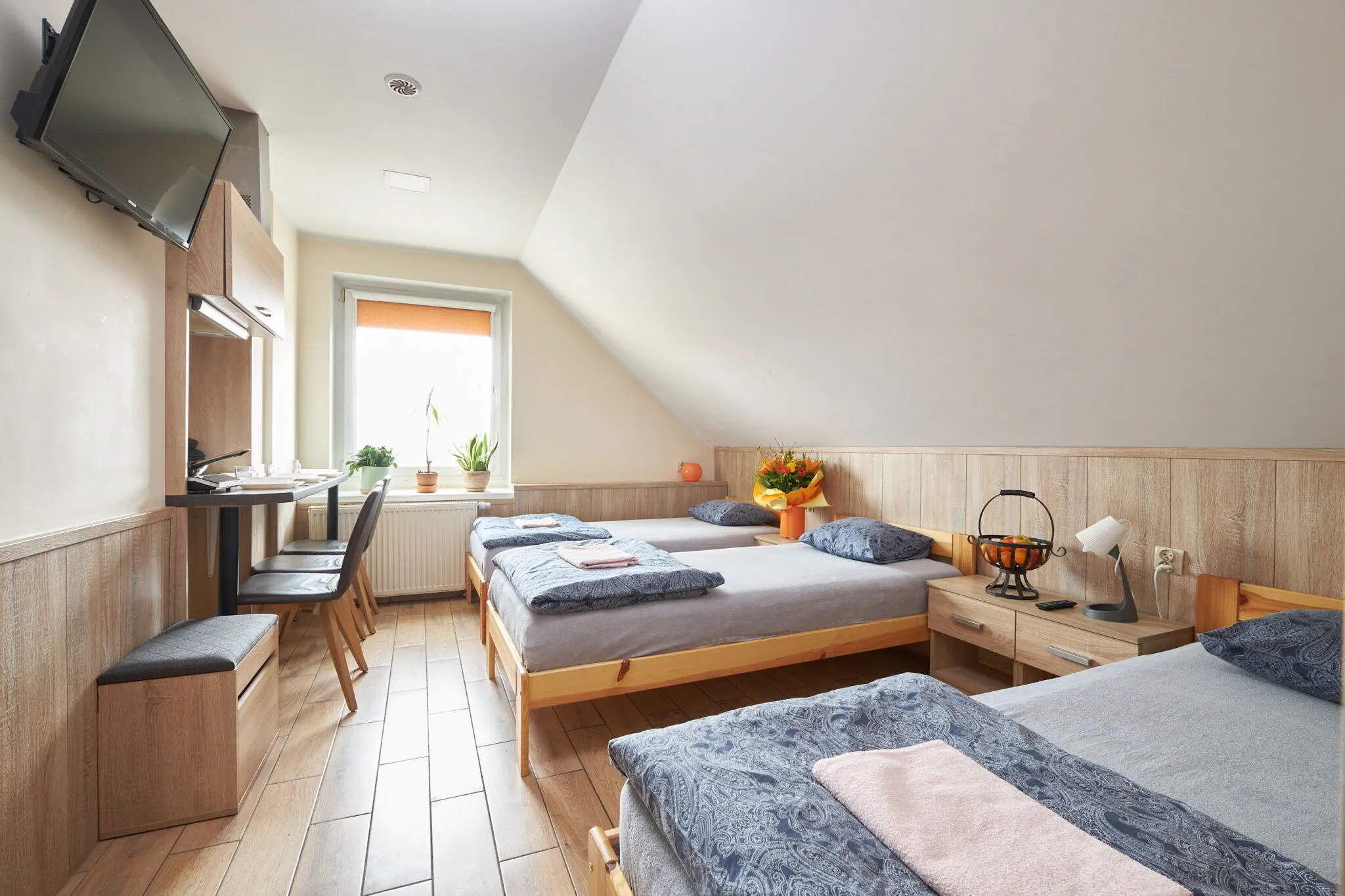 Noclegi i Apartamenty P7 Dzierżoniów – Dzierżoniów, Polska