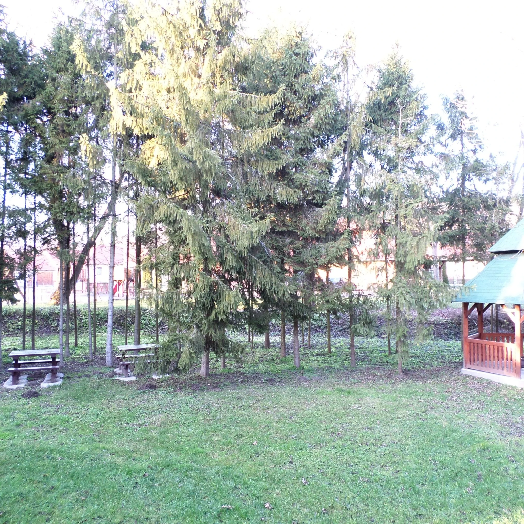 Öreg Bence Háza Füzérkomlós - foto 5