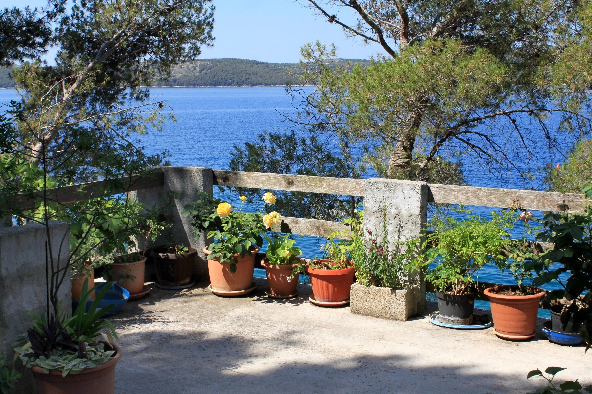 Seaside Secluded Apartments Lavdara, Dugi Otok - 433 Lavdara - foto 5