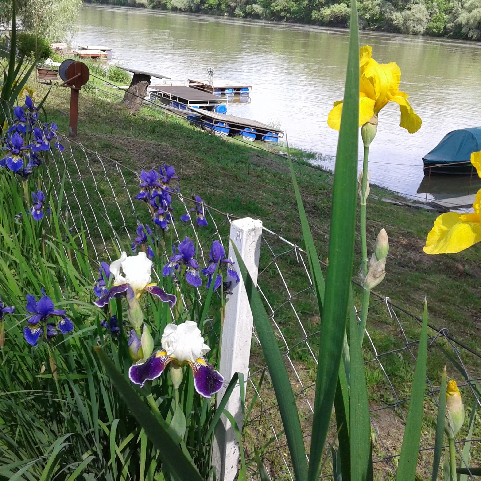 Anita Vendégház Szeged – Szeged, Maďarsko