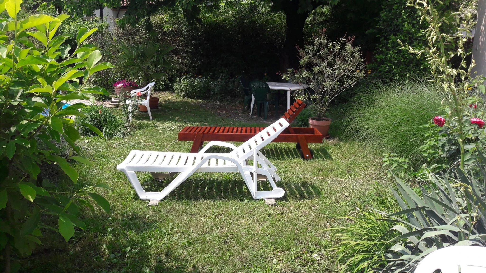 Lehel Apartman Miskolc - foto 4