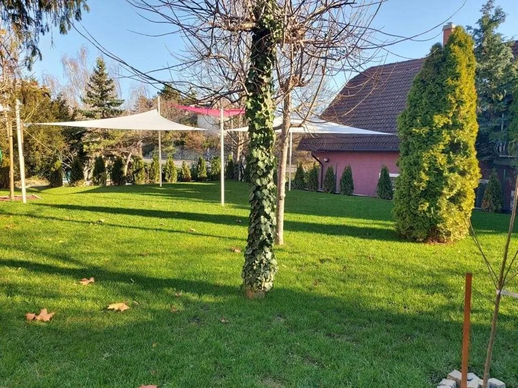 Rita Vendégház Balatonfüred - foto 5