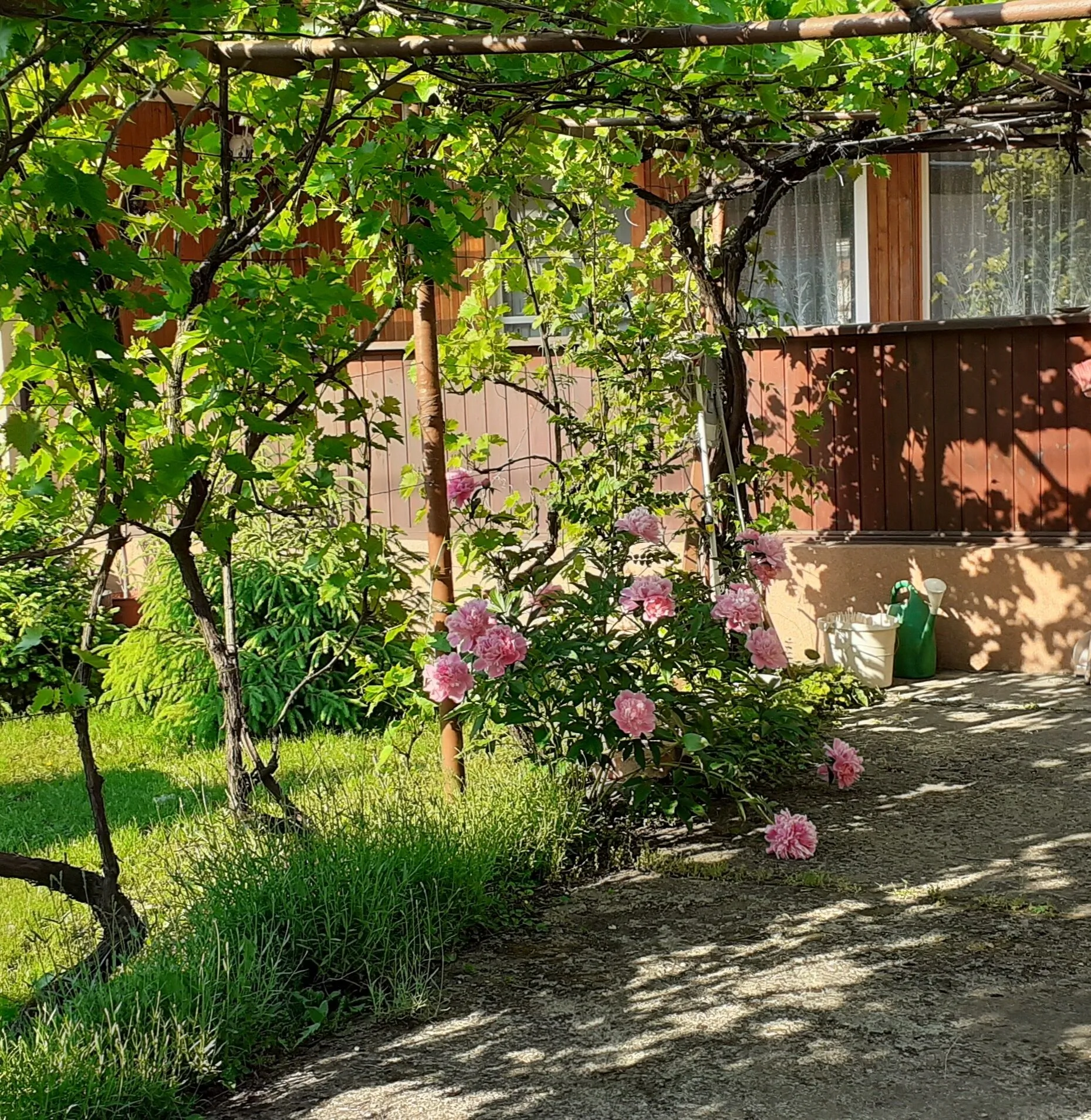 Honey Üdülőház Mezőkövesd – Mezőkövesd, Ungaria