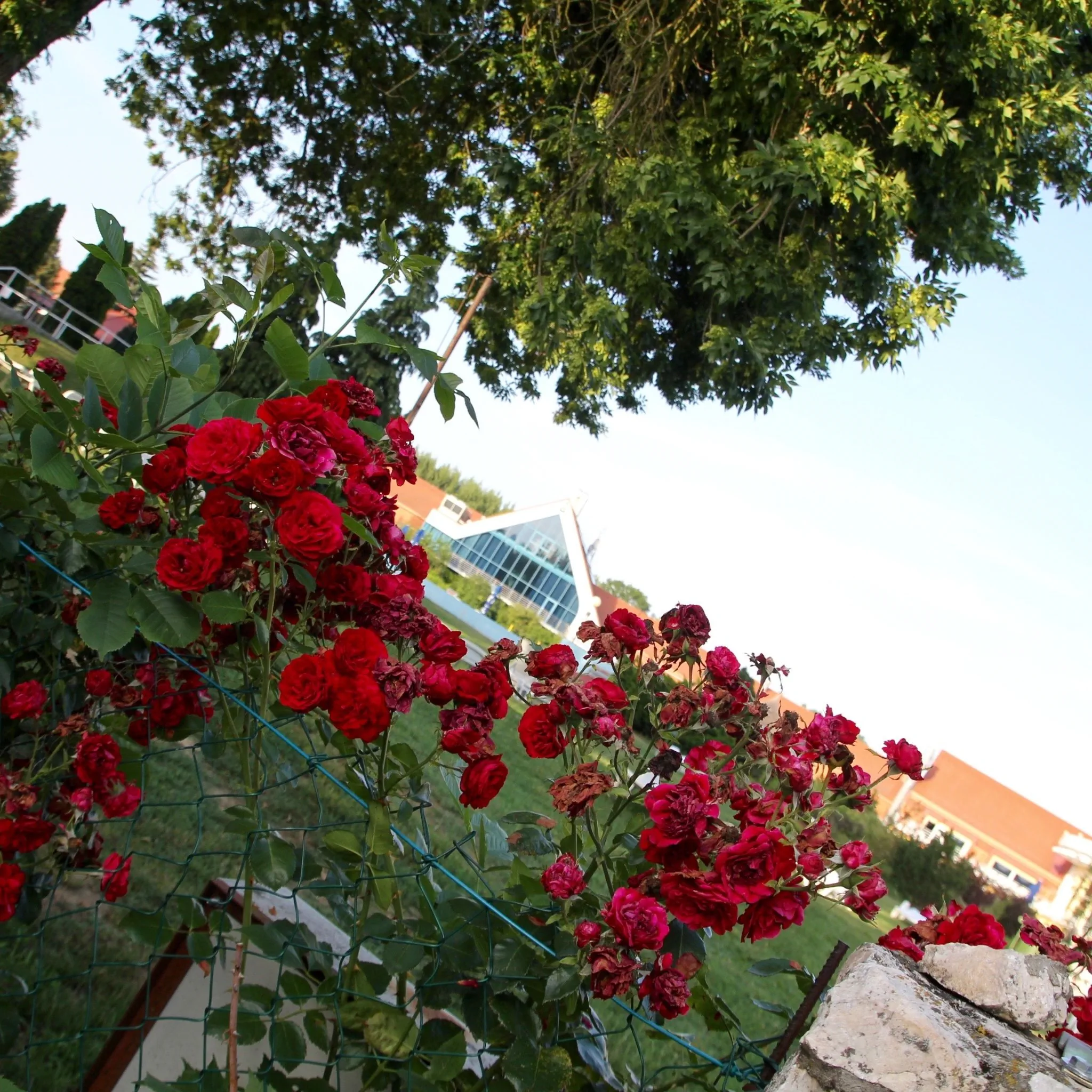Hévíz Springs Resorts**** Kehidakustány - foto 4