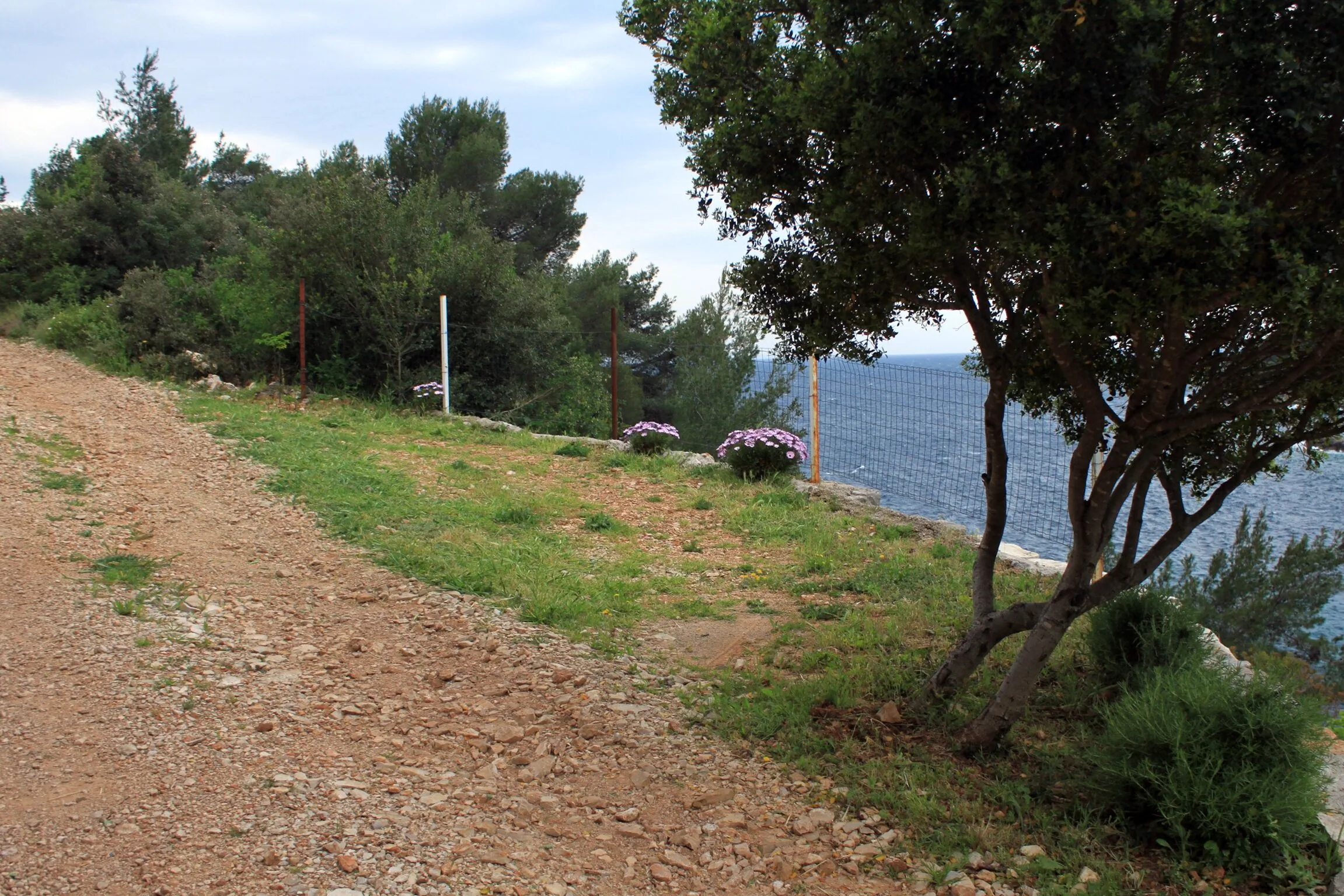 Seaside House For Families With Children Cove Skozanje, Hvar - 4039 Skozanje - foto 5