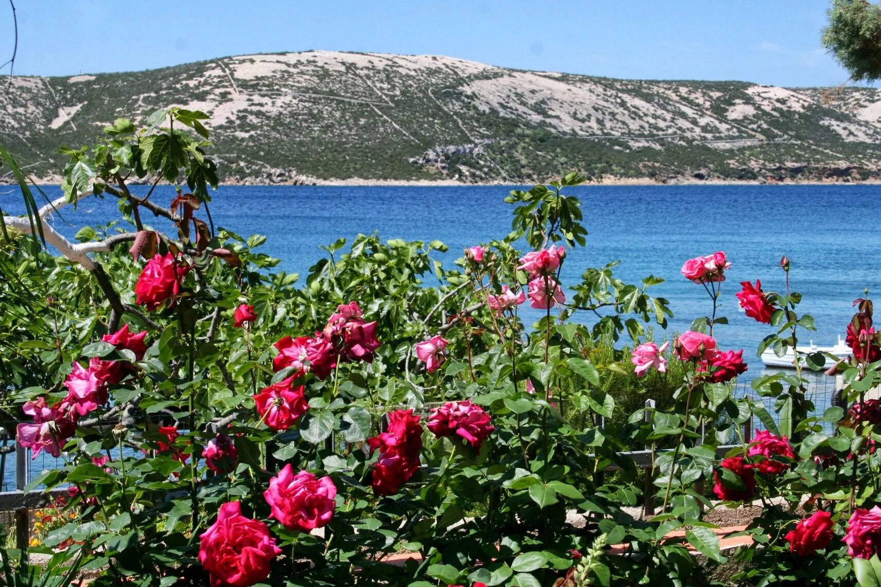 Apartments By The Sea Stara Novalja, Pag - 4106 Stara Novalja - foto 4