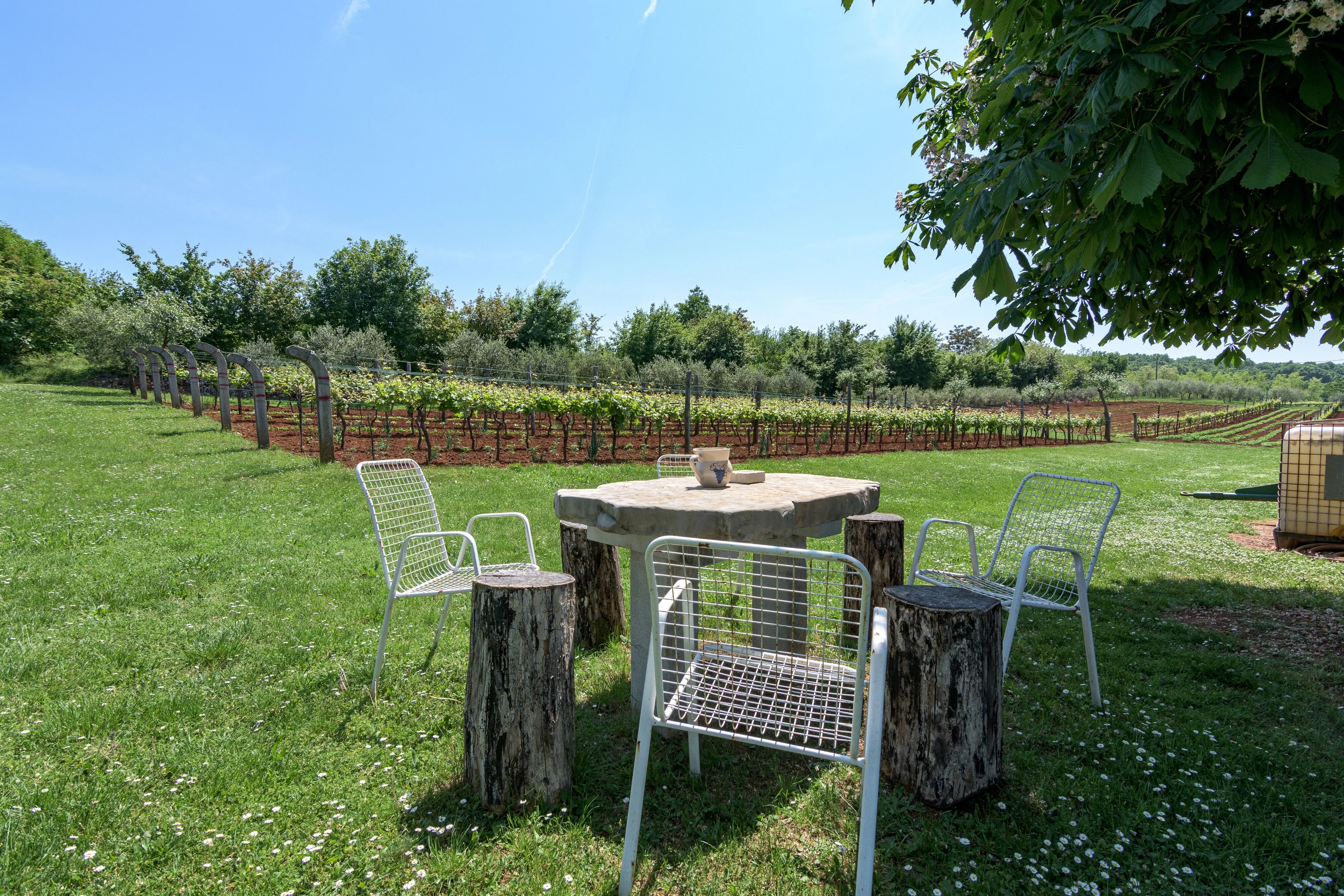 Family Friendly House With A Parking Space Sveti Martin, Central Istria - Središnja Istra - 7849 Sveti Martin – Sveti Martin, Croația