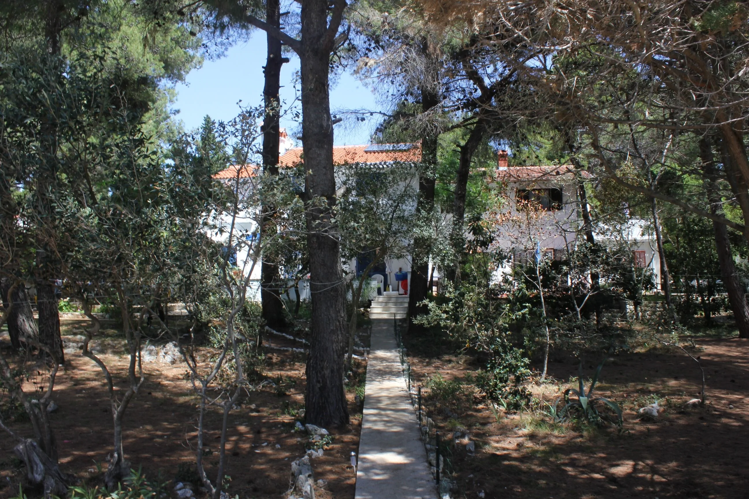 Apartments By The Sea Artatore, Lošinj - 7935 Artatore - foto 3