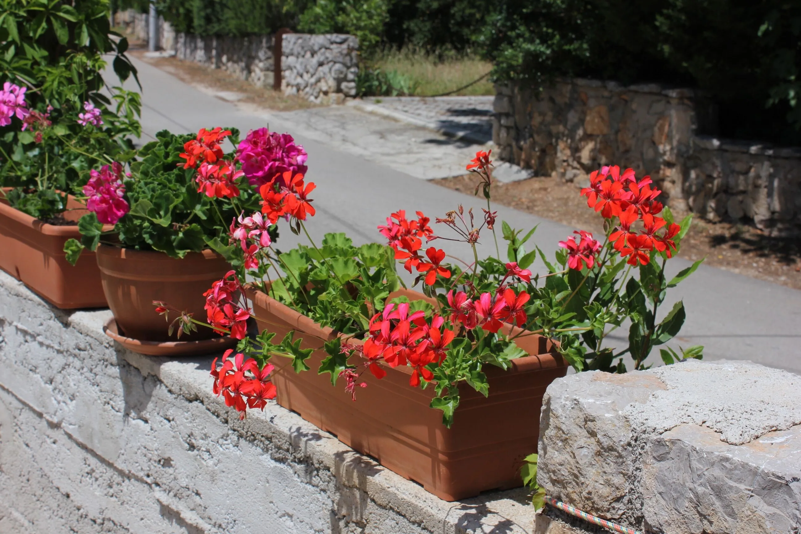 Apartments By The Sea Artatore, Lošinj - 7935 Artatore - foto 9