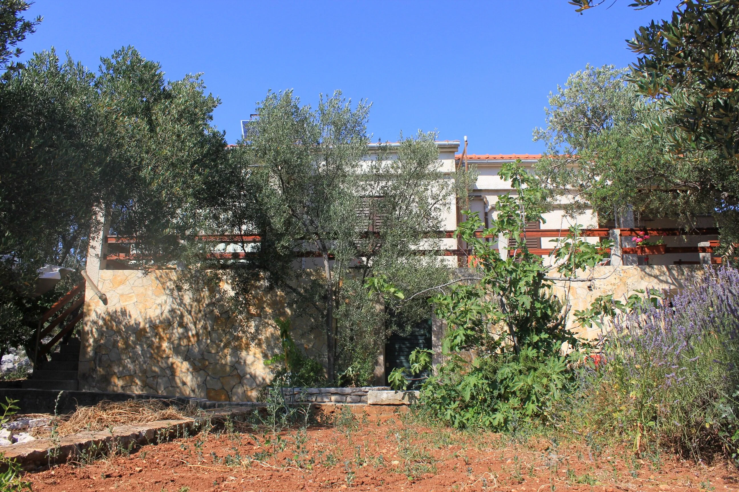 Seaside Secluded Apartments Cove Magrovica - Telašćica, Dugi Otok - 8139 Magrovica - Telašćica – Magrovica - Telašćica, Chorwacja