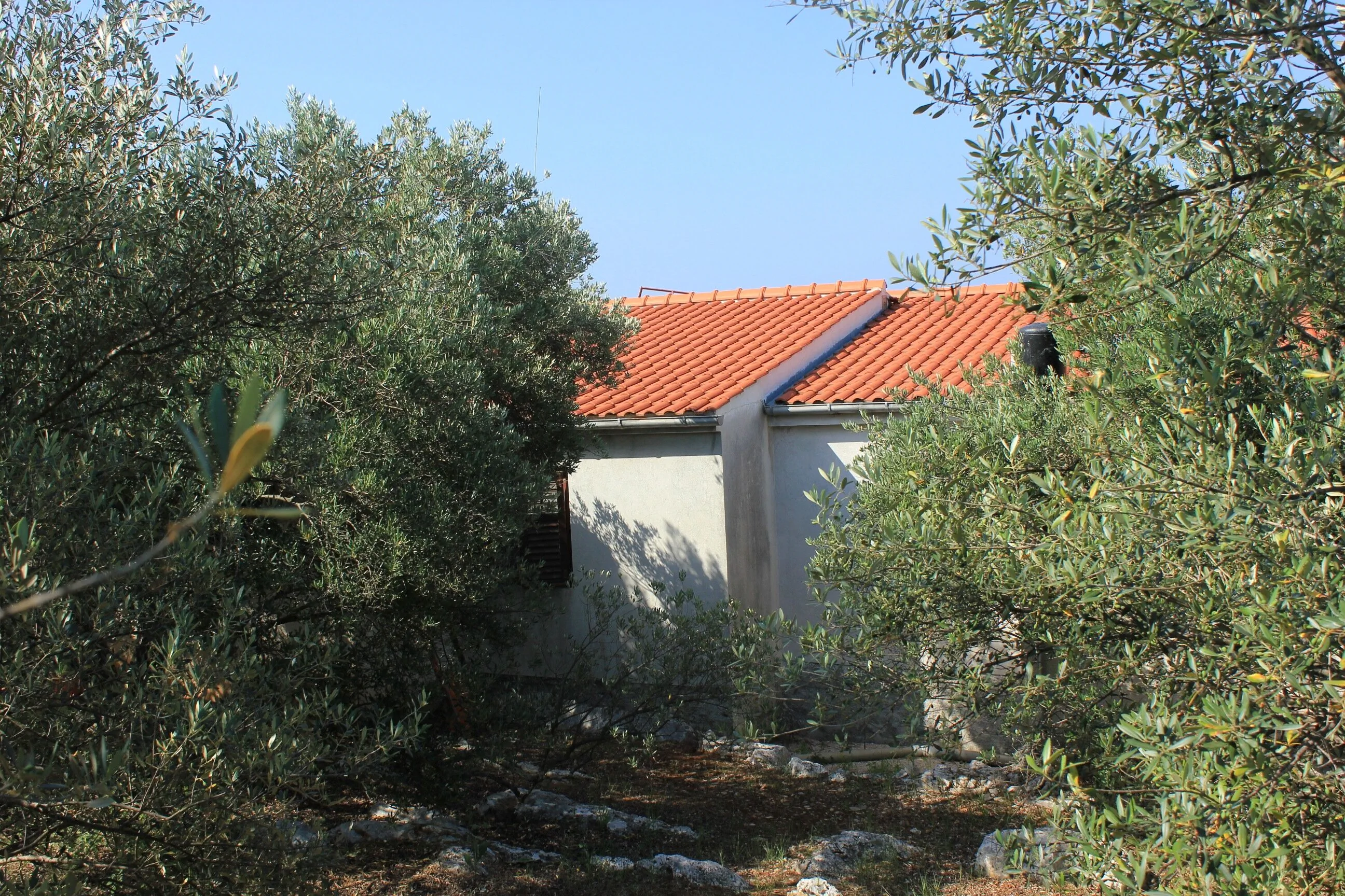 Seaside Secluded Apartments Cove Magrovica - Telašćica, Dugi Otok - 8139 Magrovica - Telašćica – Magrovica - Telašćica, Chorwacja