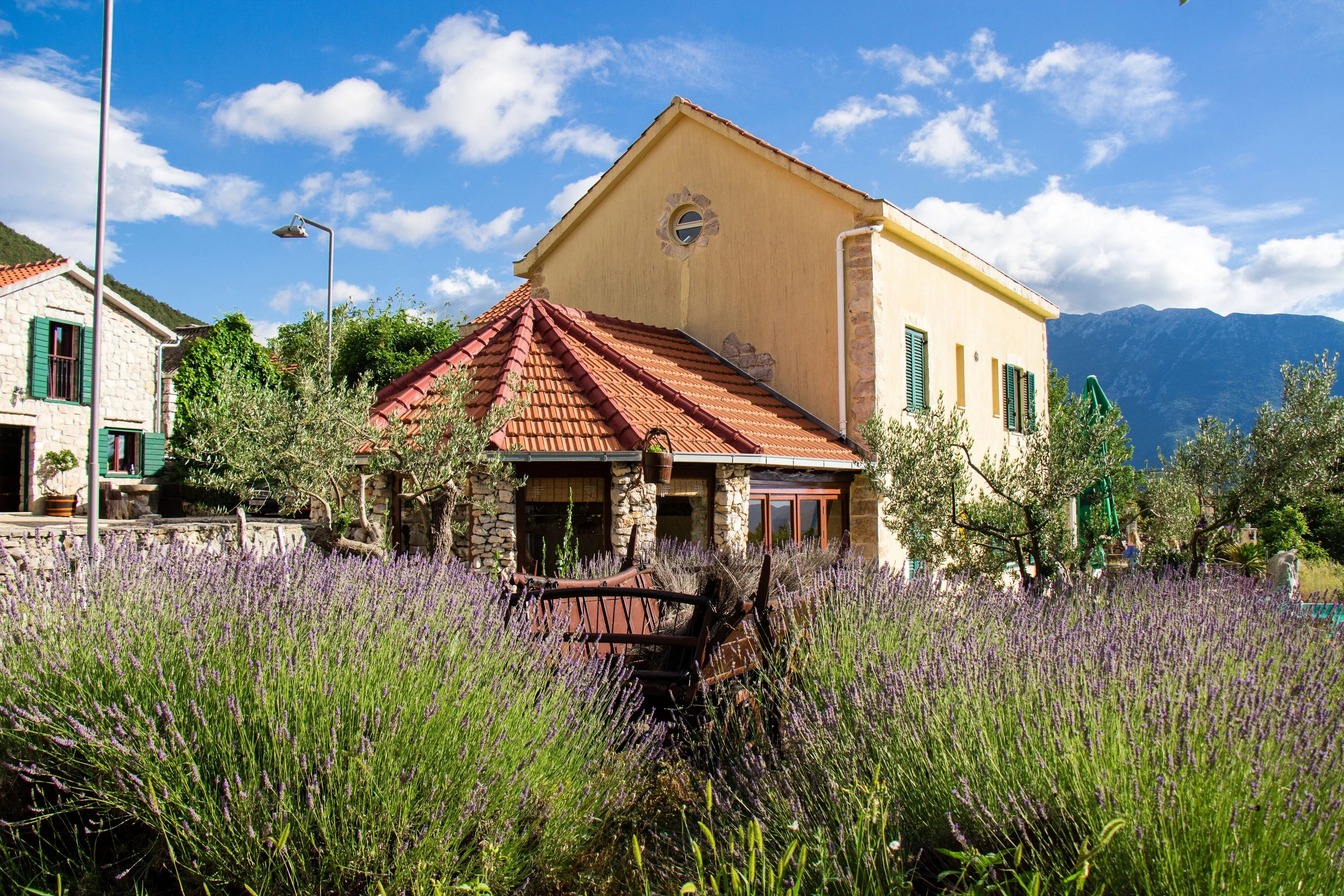 Luxury Villa With A Swimming Pool Bajići, Zagora - 11328 Bajići – Grabovac, Croația