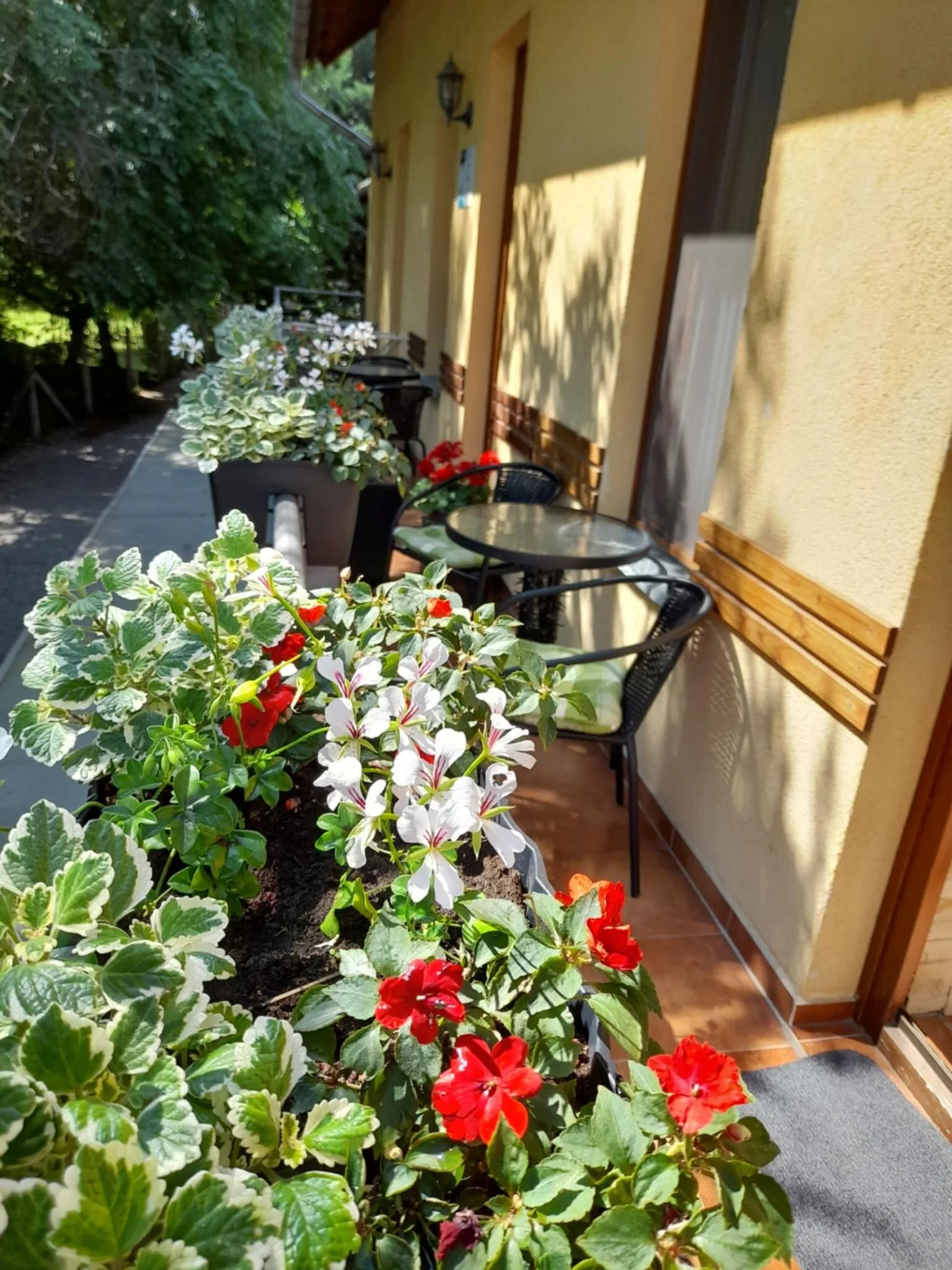 Bambusz Apartman Gyula – Gyula, Węgry