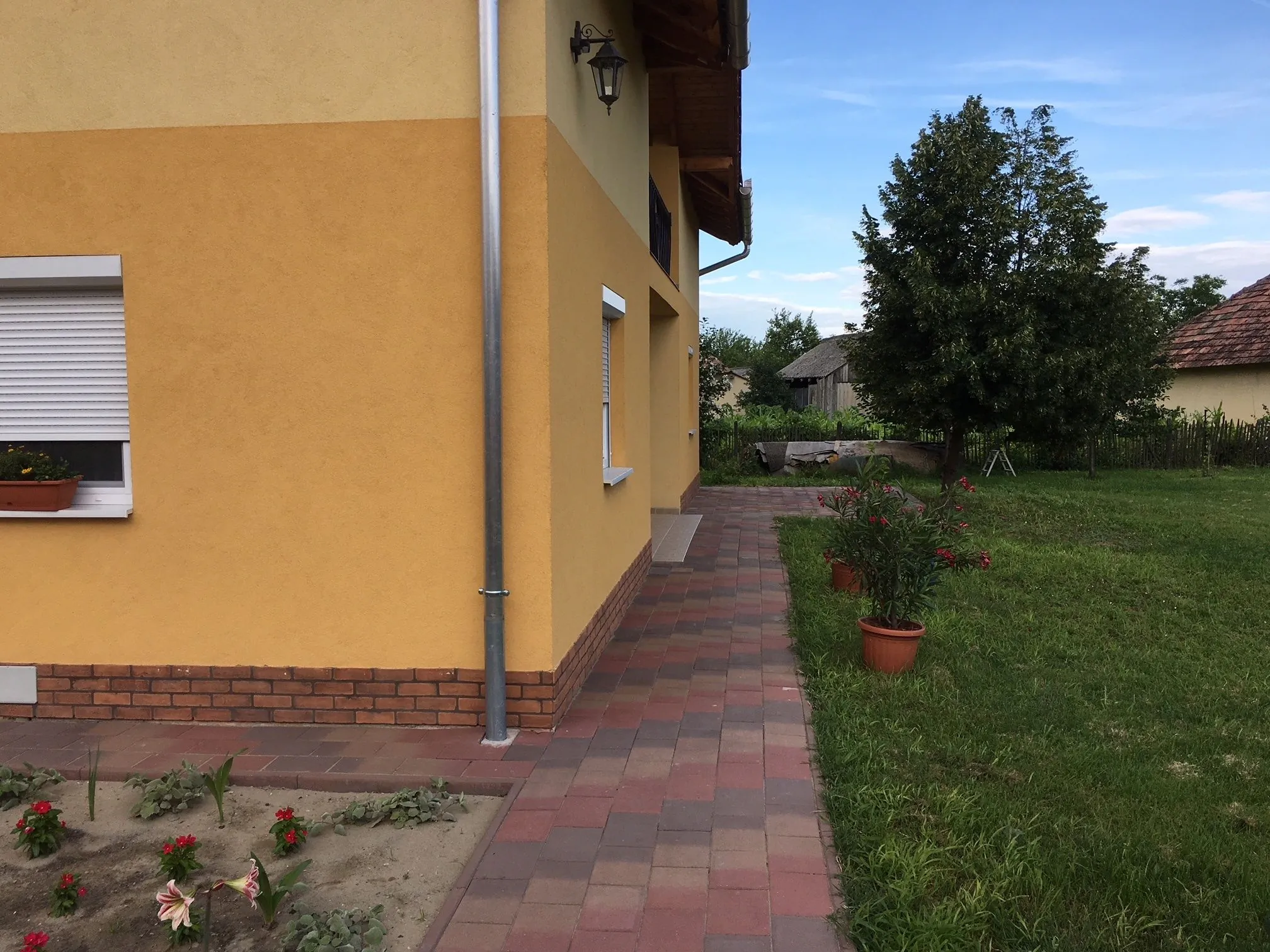 Nárcisz Vendégház Mórahalom - foto 3