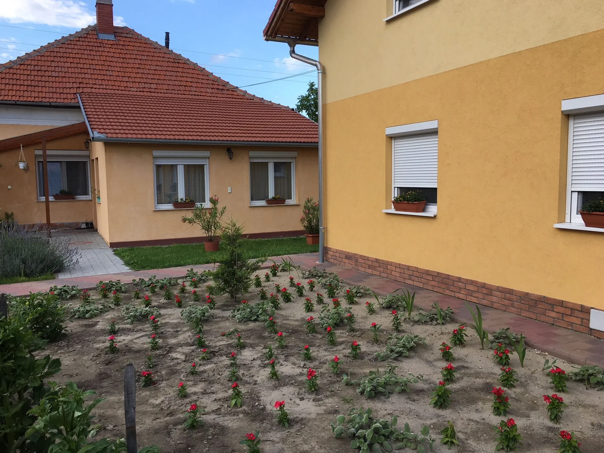 Nárcisz Vendégház Mórahalom - foto 4