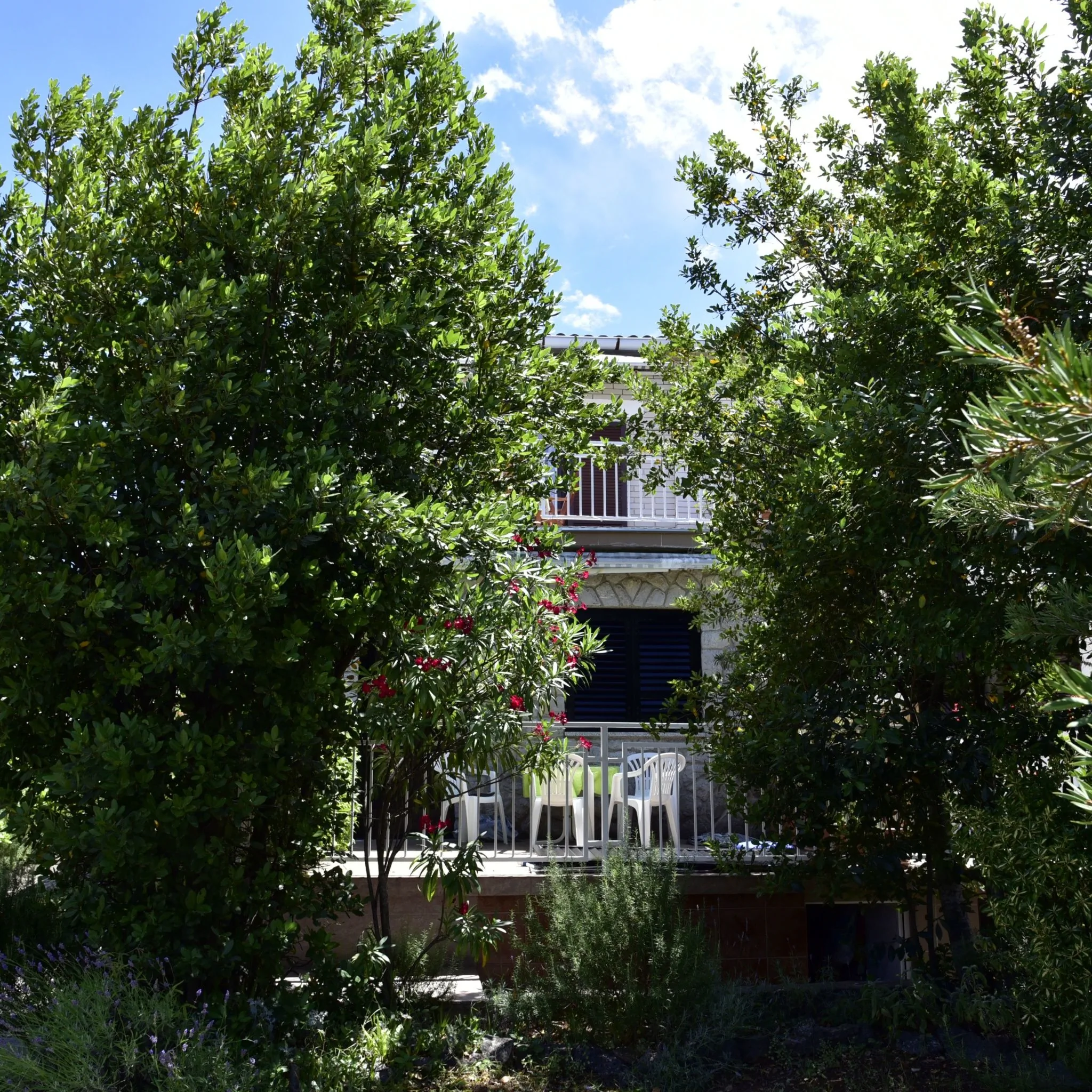 Apartment Palm Tree Malinska – Malinska, Chorwacja
