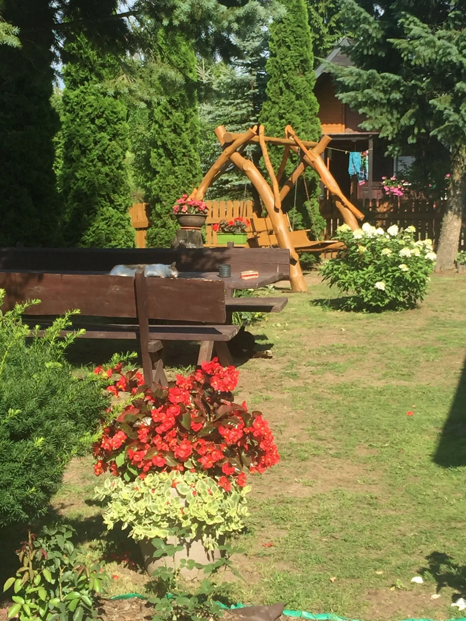Nad Wigrami Agroturystyka Tarasiewicz - foto 6