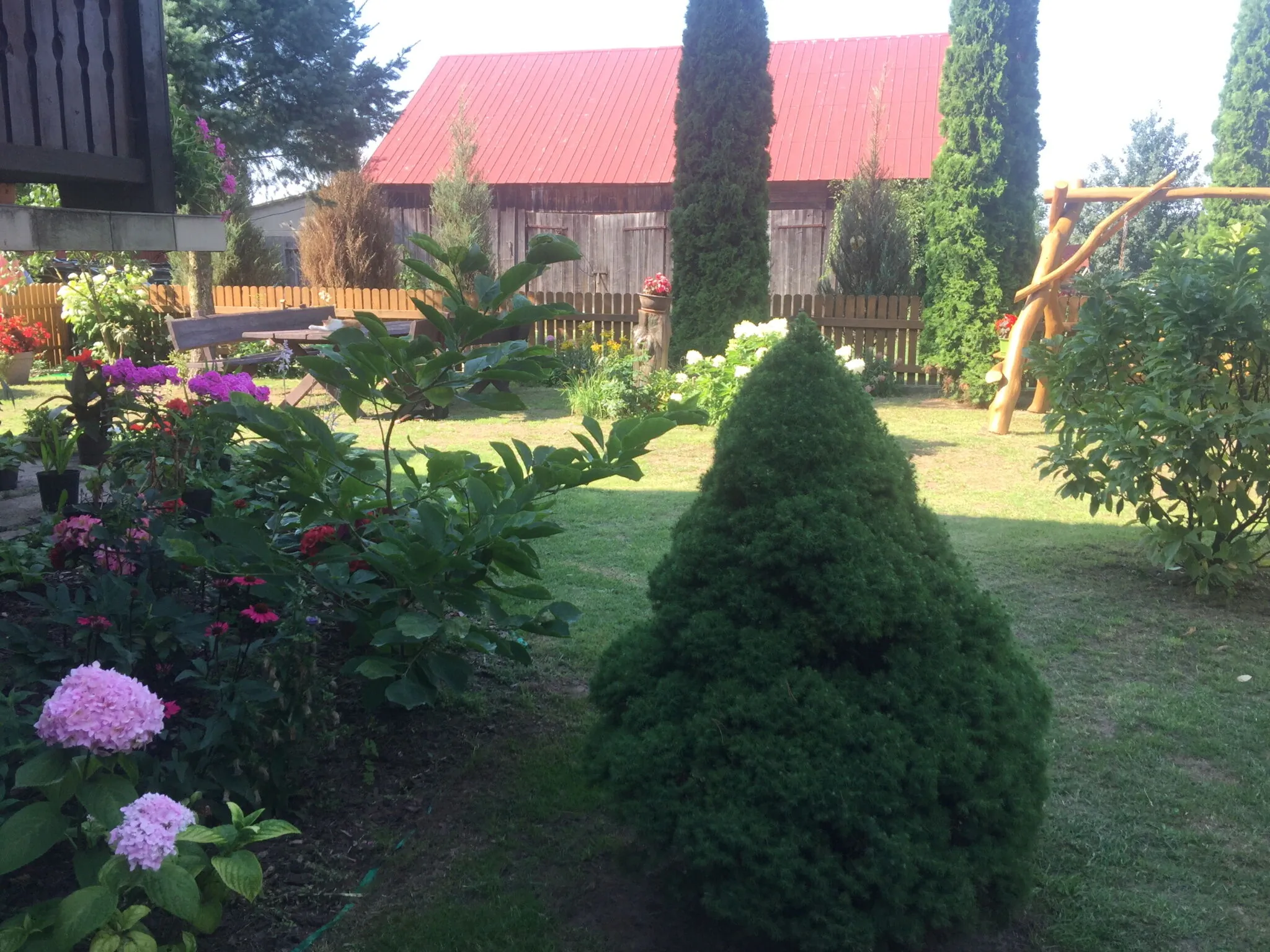 Nad Wigrami Agroturystyka Tarasiewicz - foto 10
