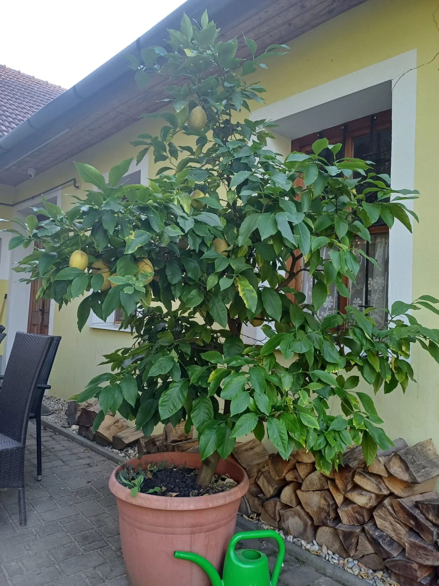 Zanati Ház Nagykapornak - foto 3