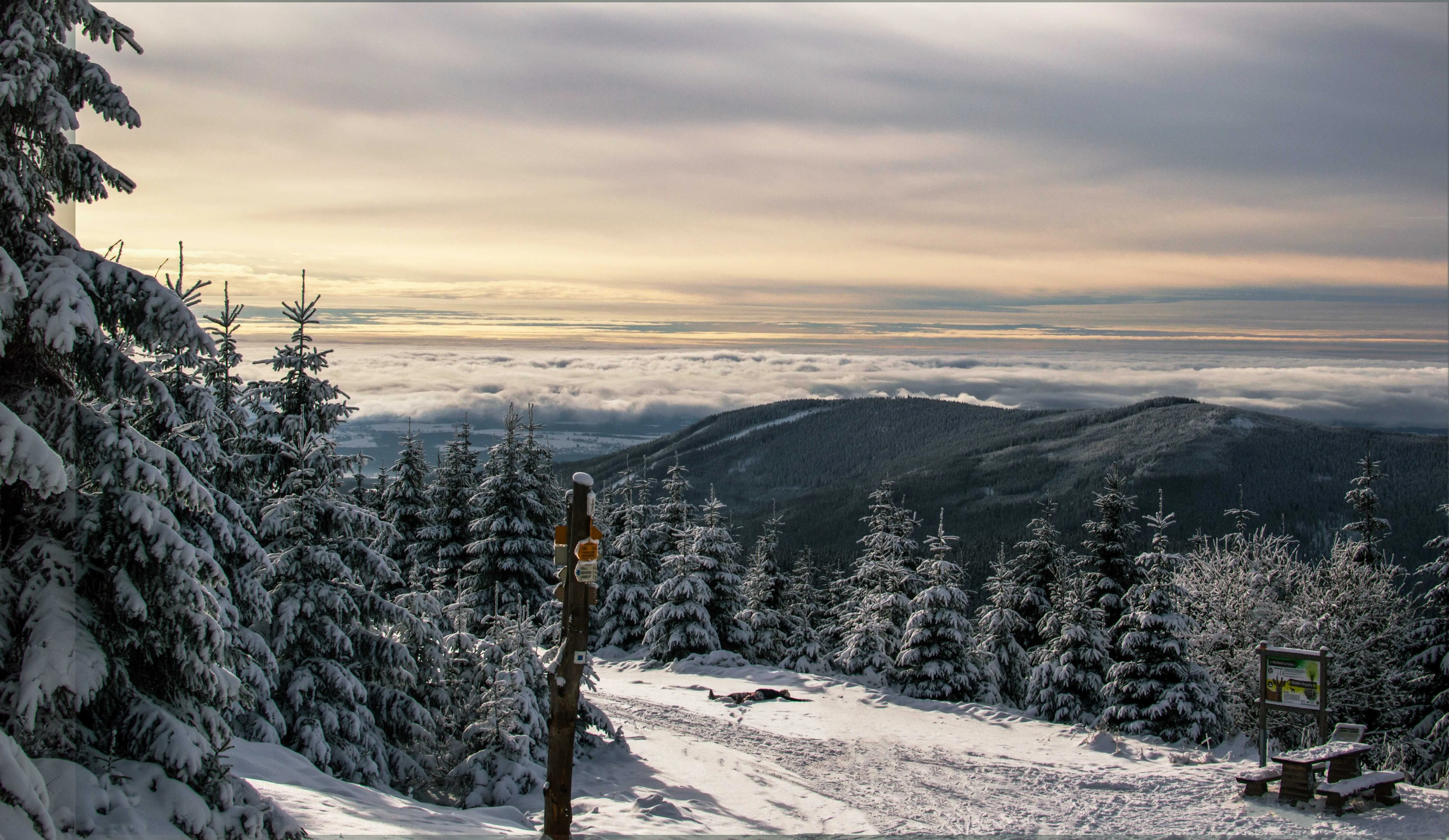 SKI HOTEL Svoboda nad Úpou – Svoboda nad Úpou, Česká republika