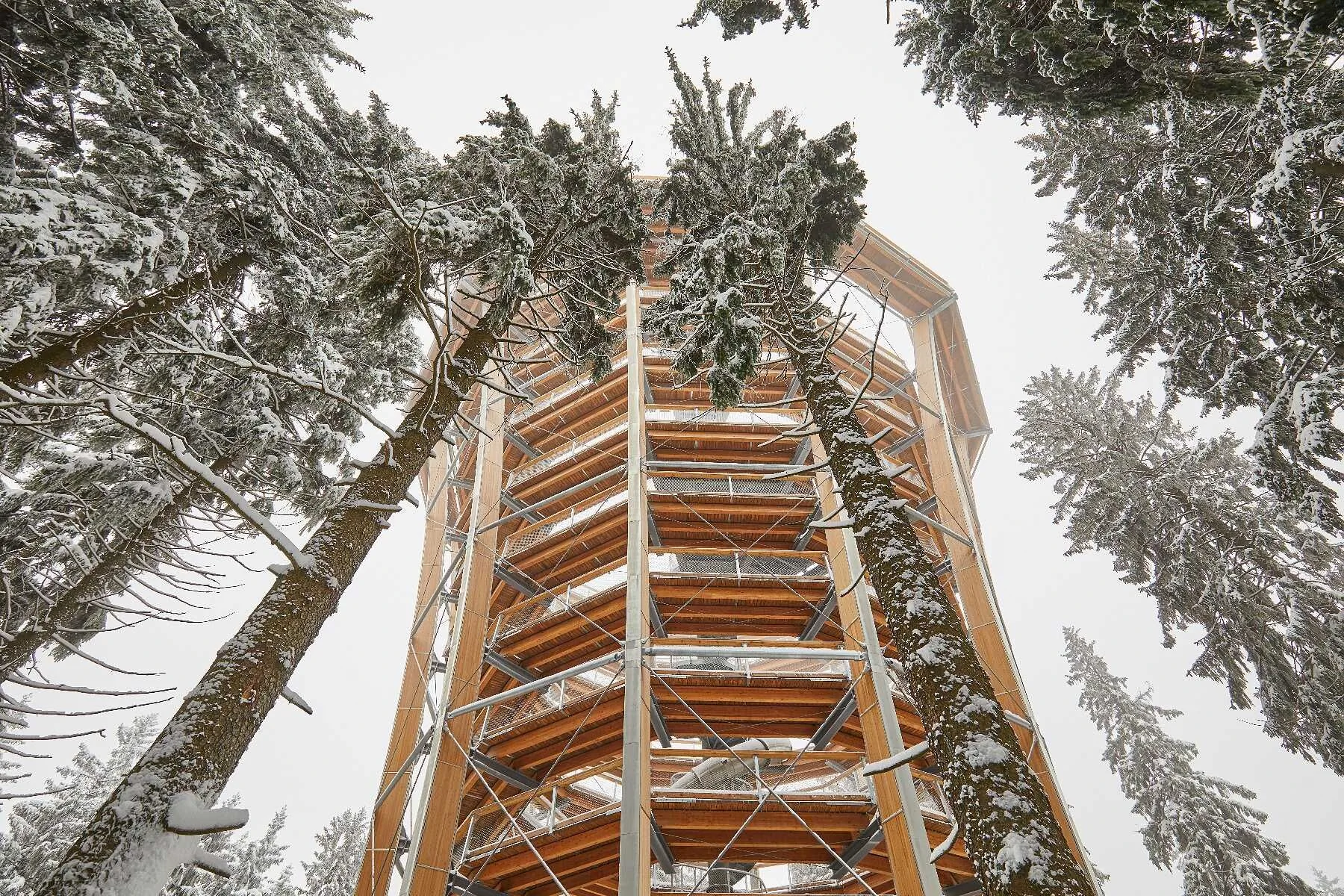 SKI HOTEL Svoboda nad Úpou – Svoboda nad Úpou, Česká republika
