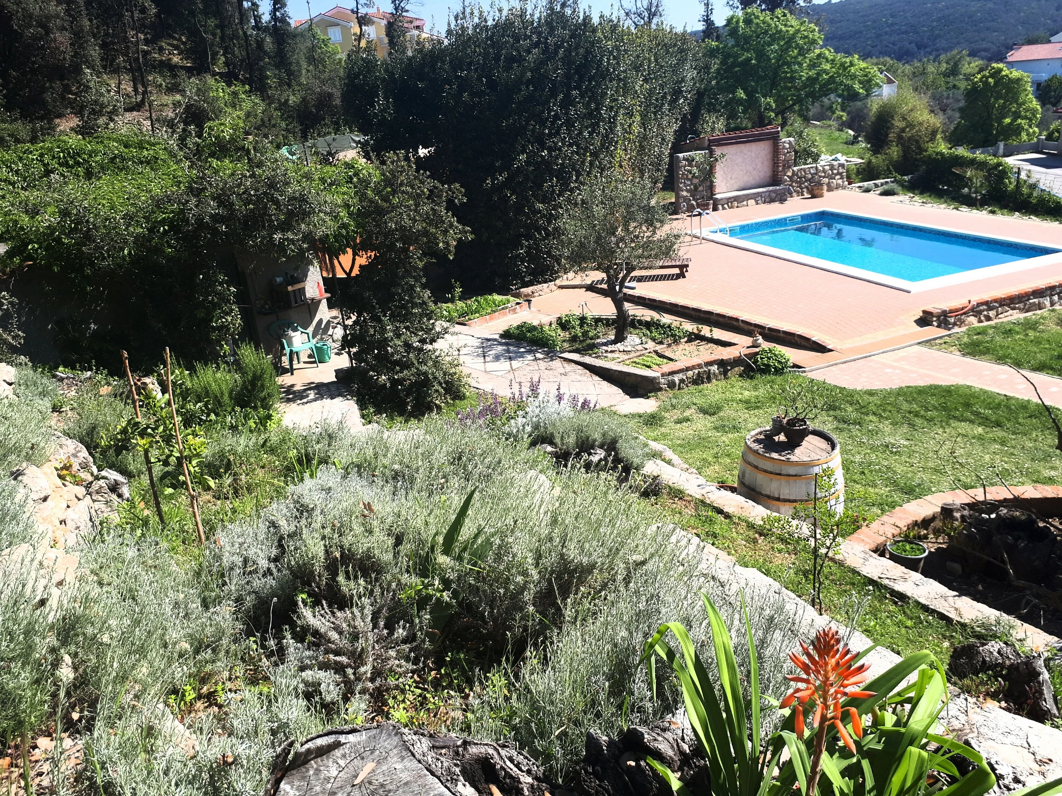 Family-friendly Apartments With Swimming Pool Kampor, Rab - 15518 Kampor - foto 7