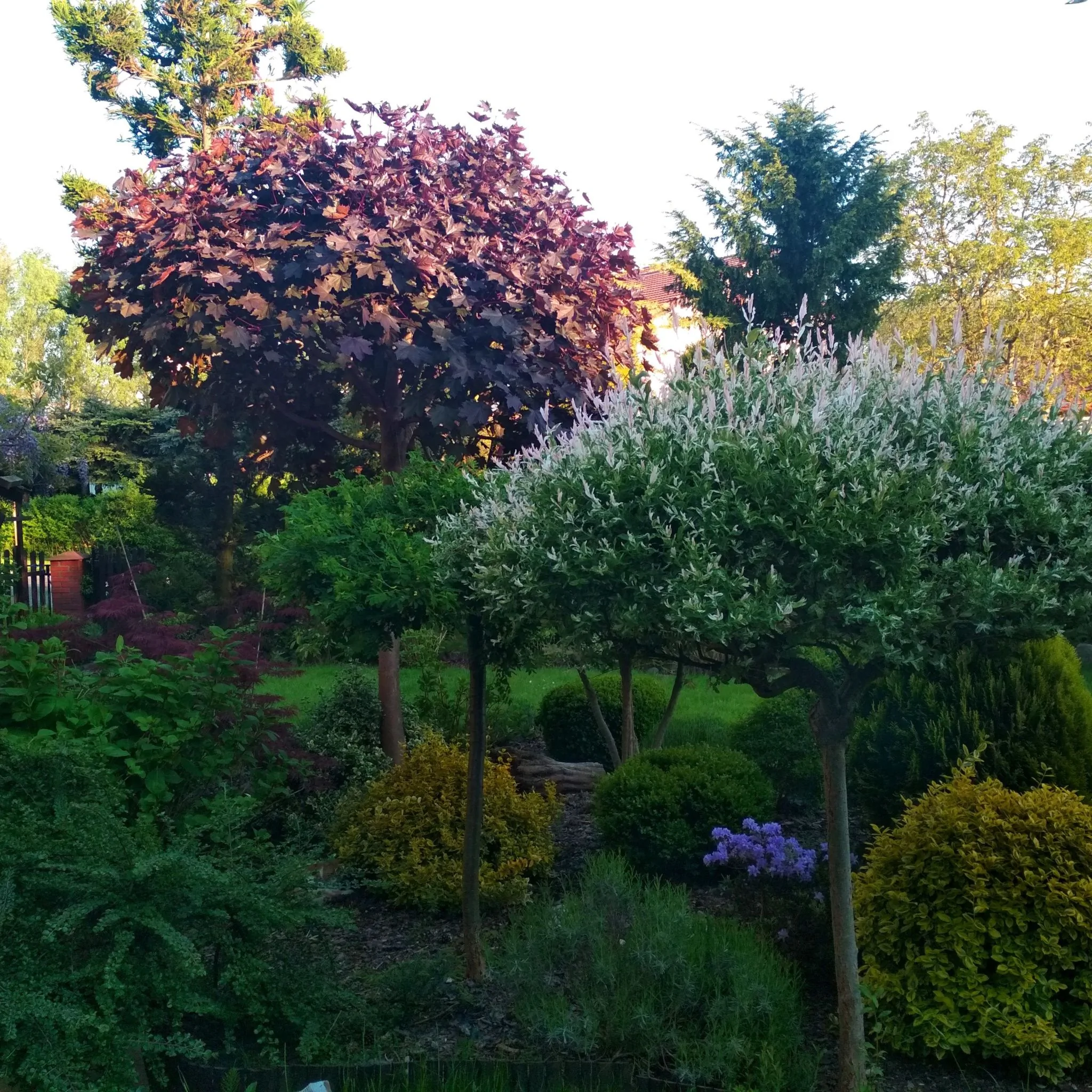 Willa Szmaragd Kołobrzeg - foto 10