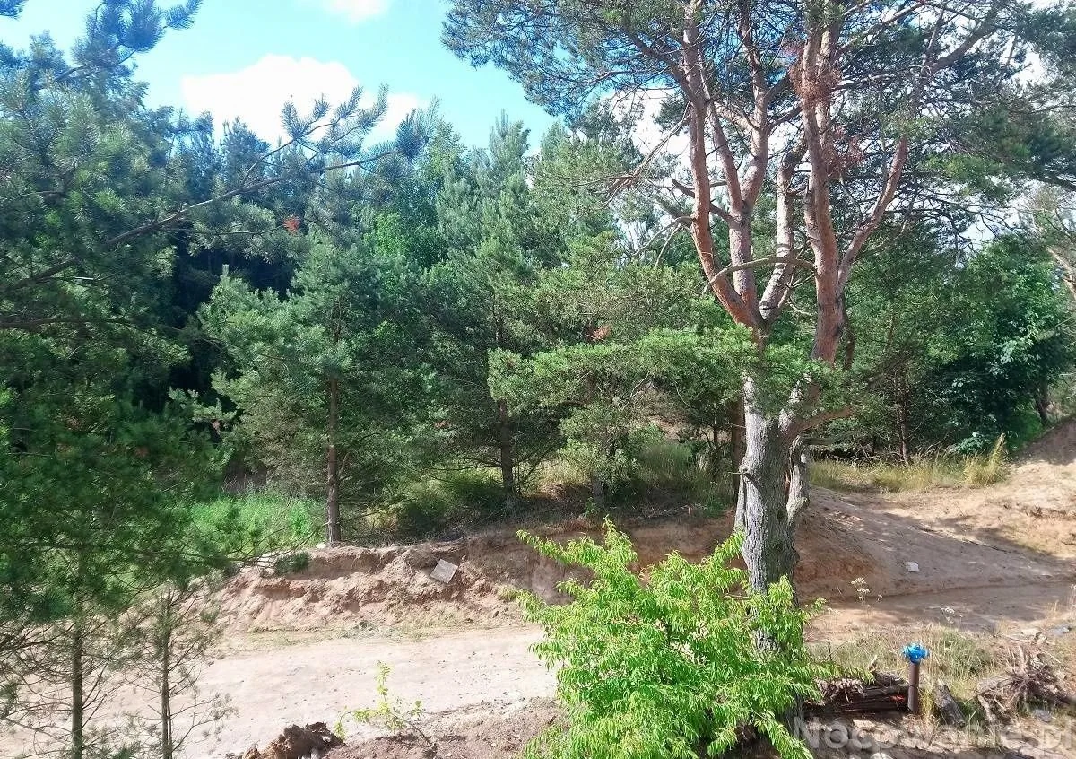 Pokoje Perłowa Przystań Gdynia - foto 9