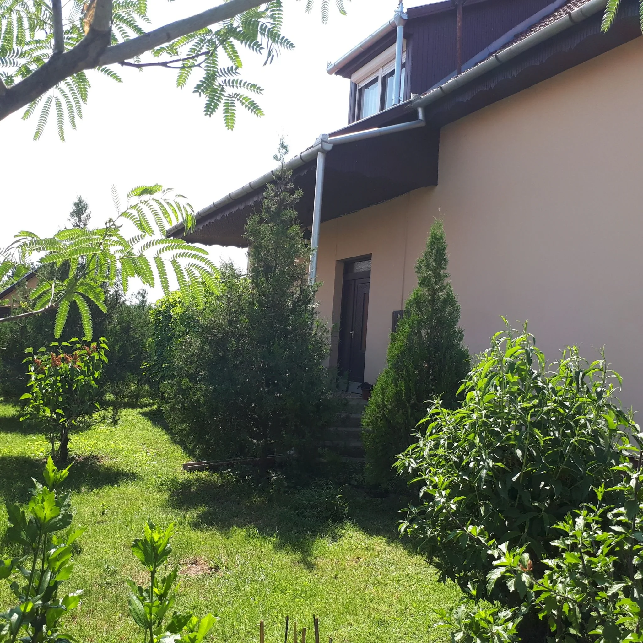 Vándormadár Vendégház Petőfiszállás - foto 1