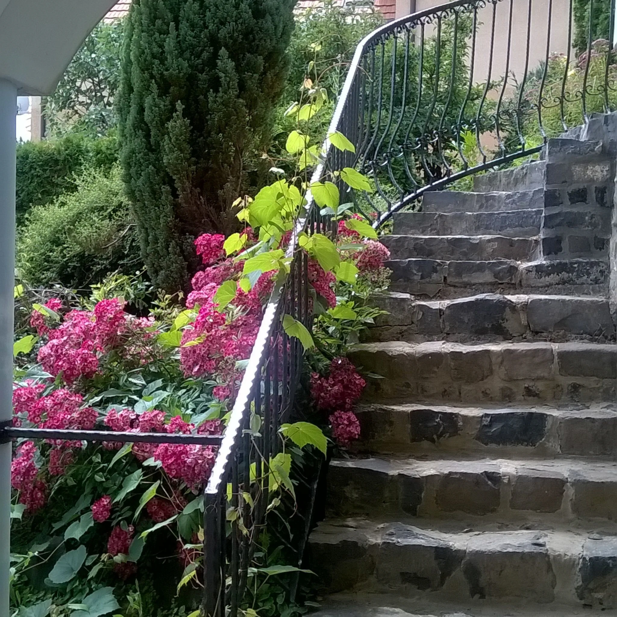 Villa Kolics Apartman Hévíz – Hévíz, Węgry