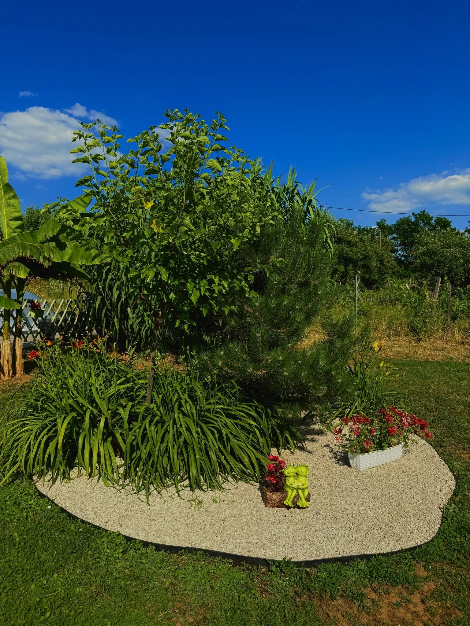Tenkes Wellness Apartman Siklós – Siklós, Węgry