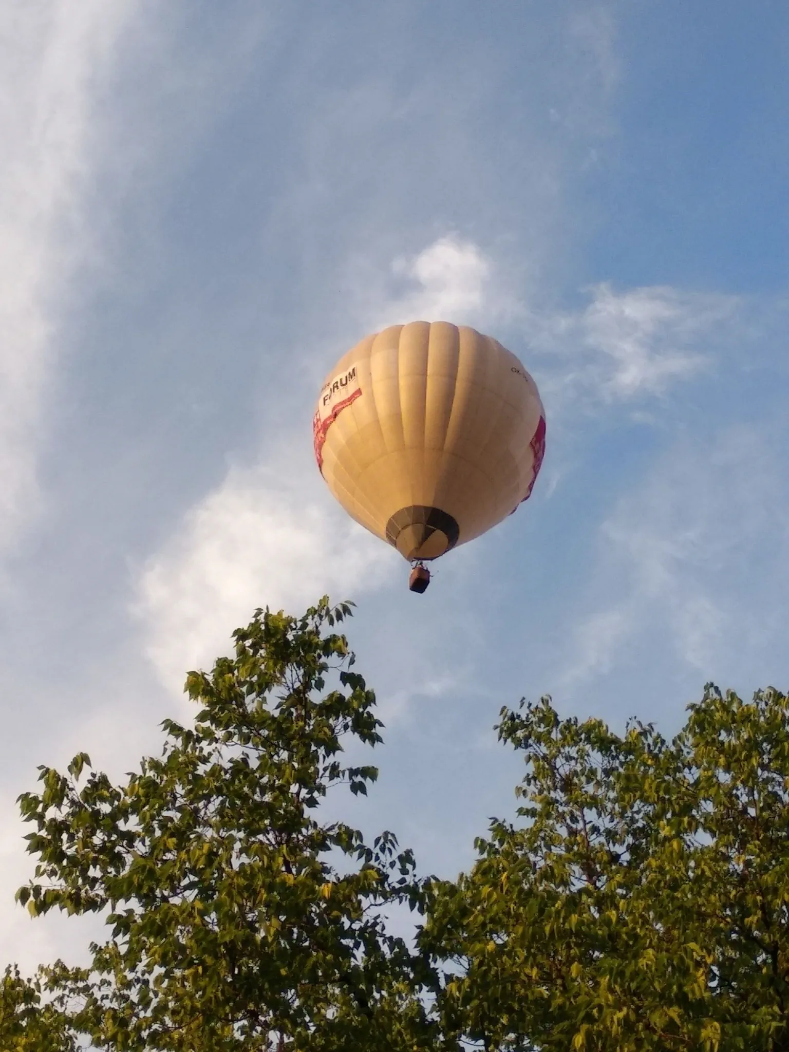 Acopark Vendégház Debrecen - foto 7