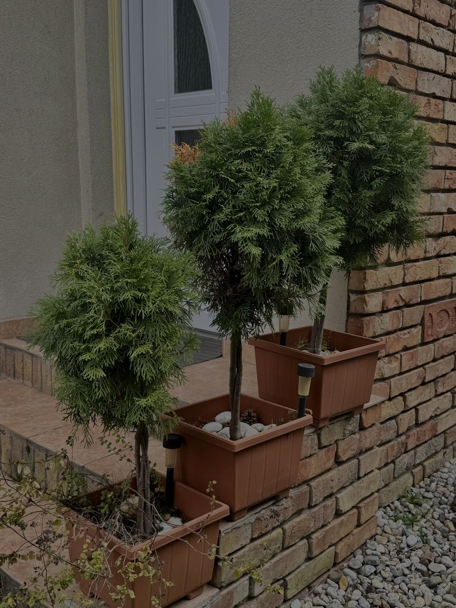 Borókahaus Apartman Tata – Tata, Węgry