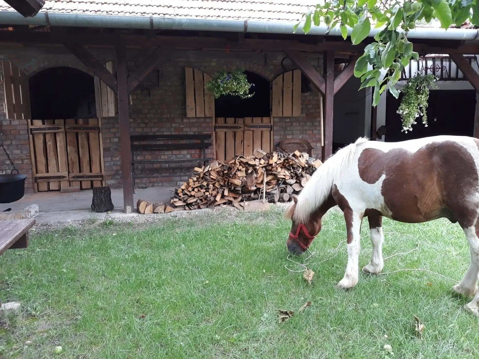 Fehérló Falusi Vendégház Békéscsaba – Bichișciaba, Ungaria