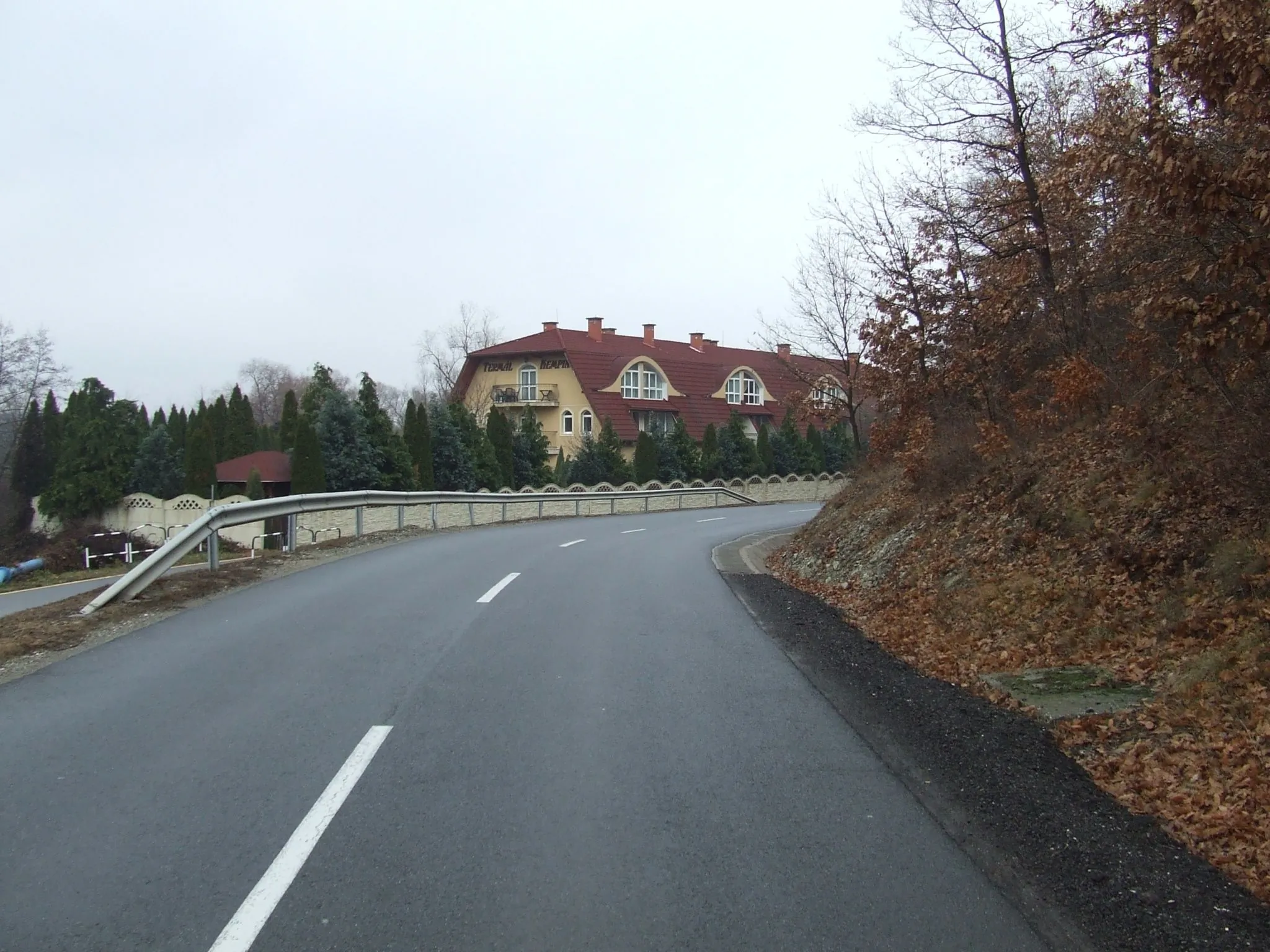 Wellness Villa Terézia Apartman**** Egerszalók - foto 2