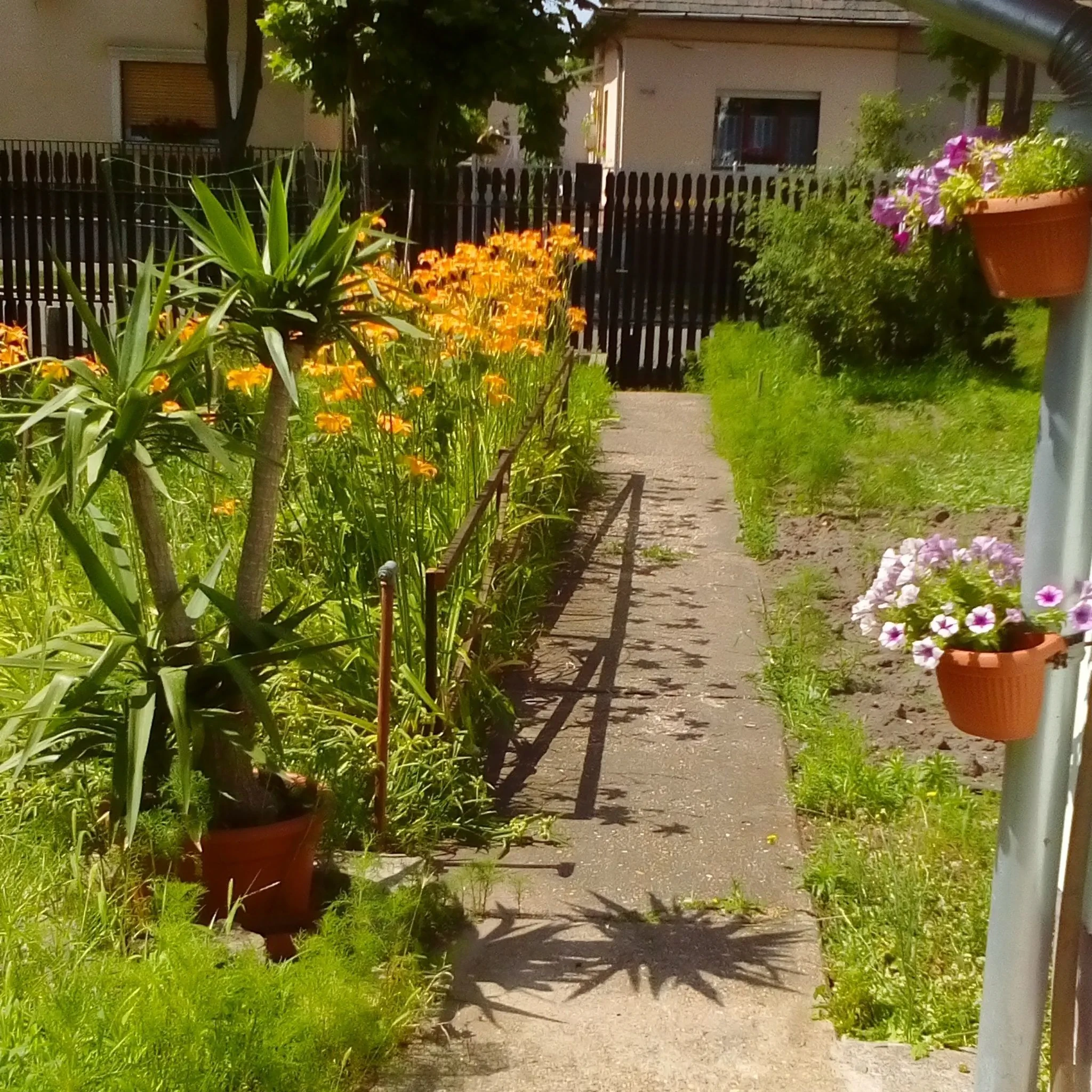 Dominikagarden Apartman Budapest – Budapesta, Ungaria