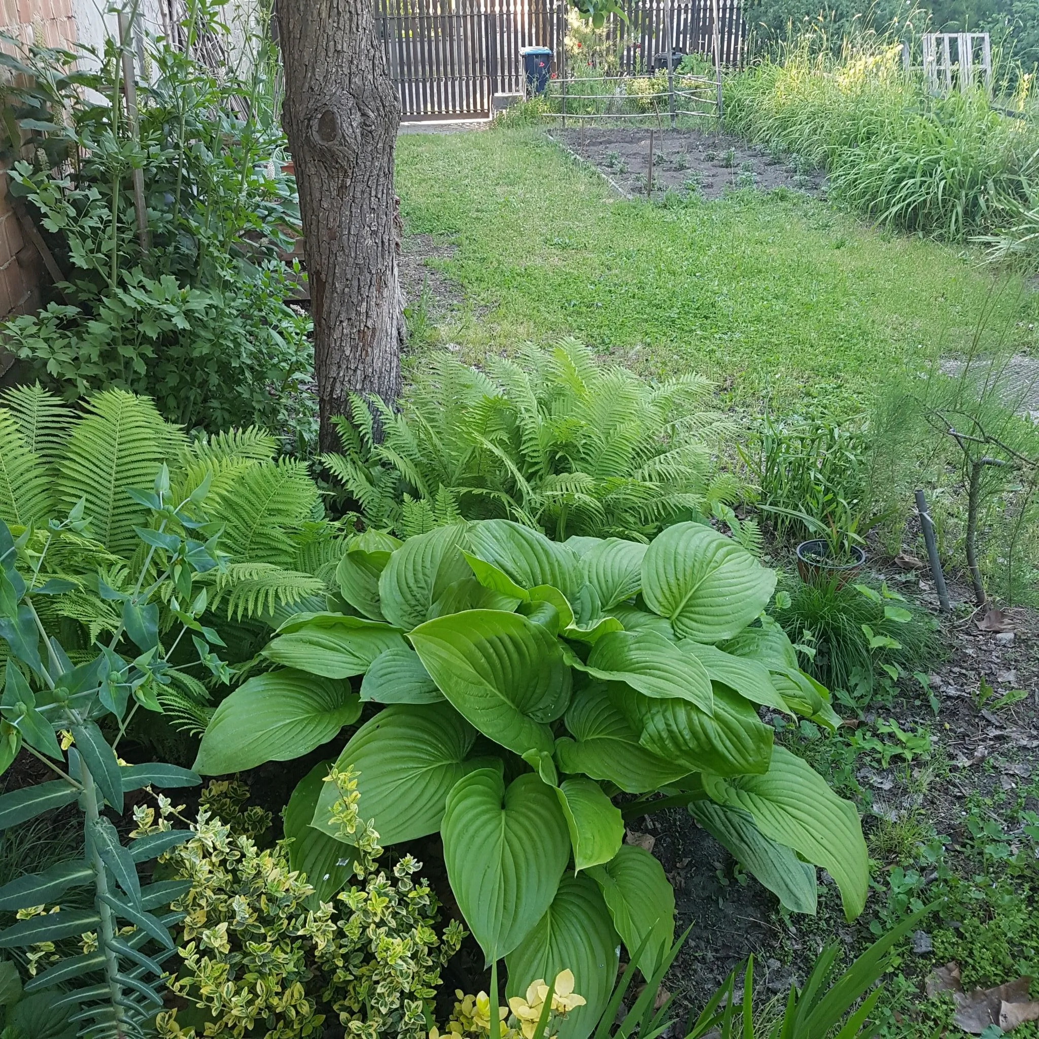 Dominikagarden Apartman Budapest – Budapesta, Ungaria