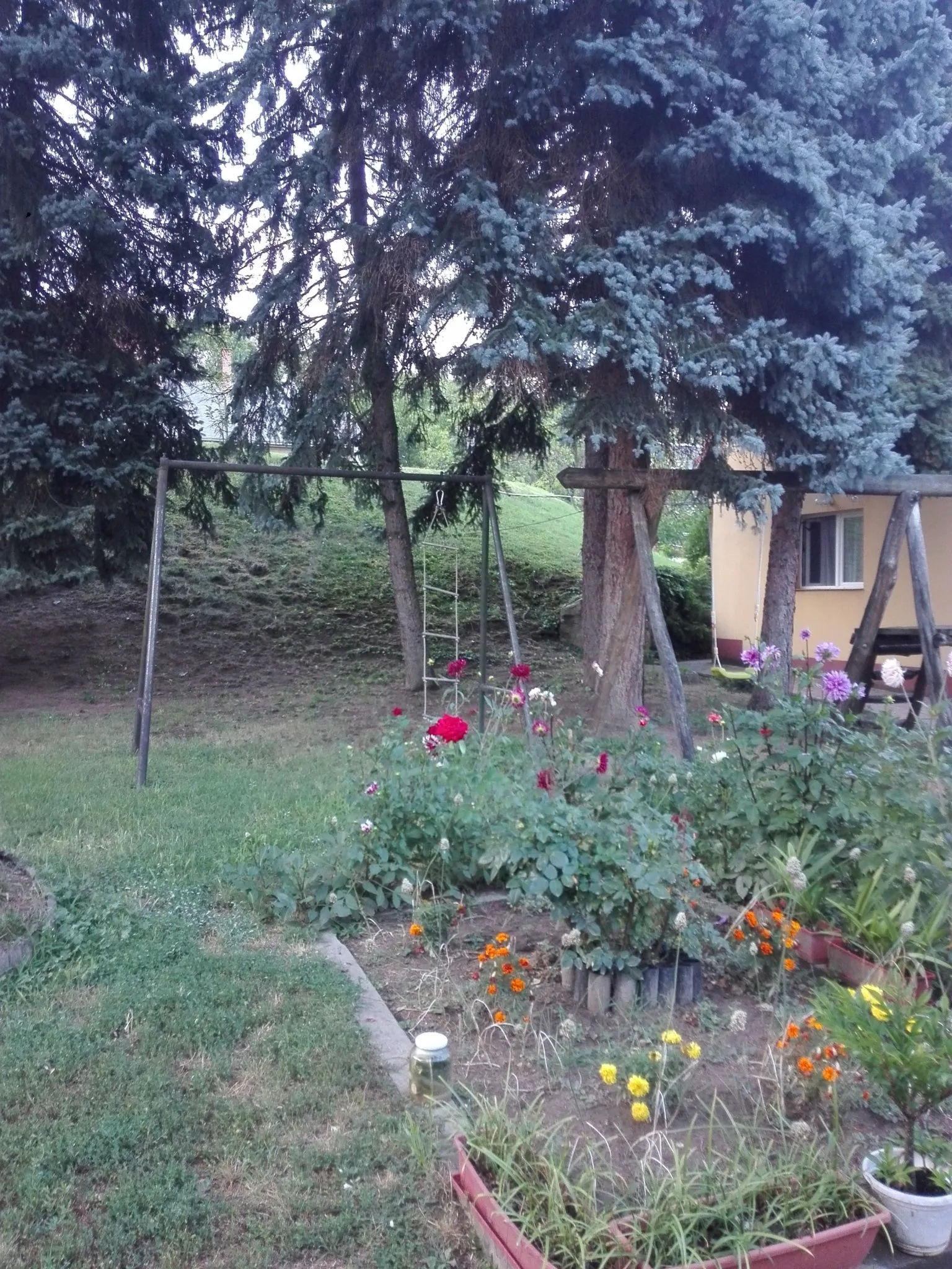 Forest Apartman Pécs – Pécs, Ungaria