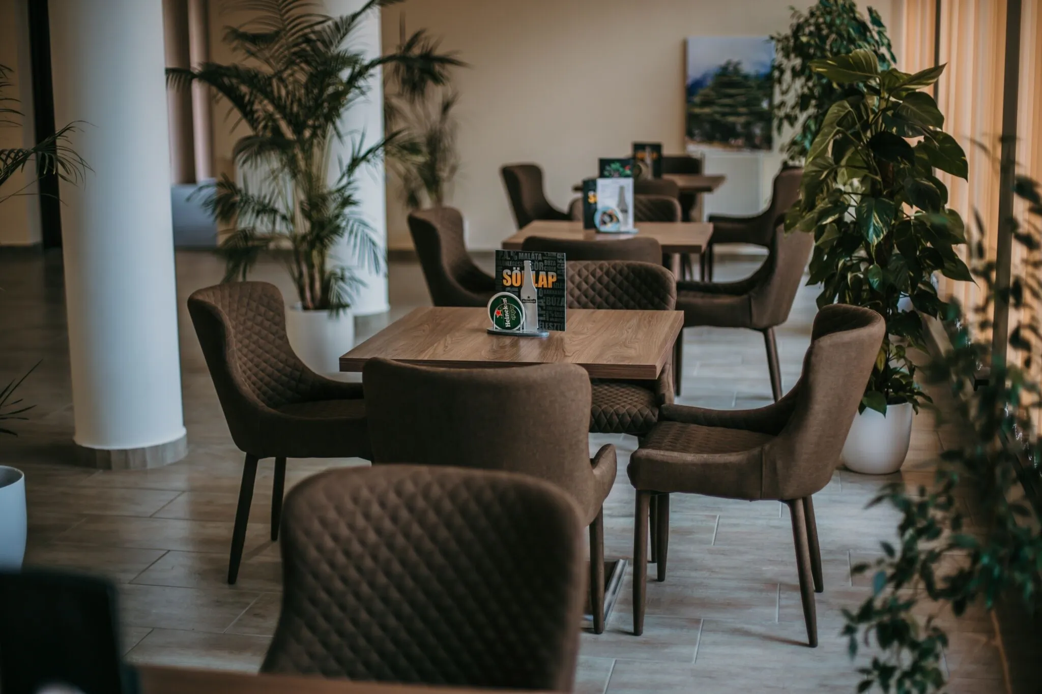 Cédrus Club Hotel Balassagyarmat – Balassagyarmat, Ungaria