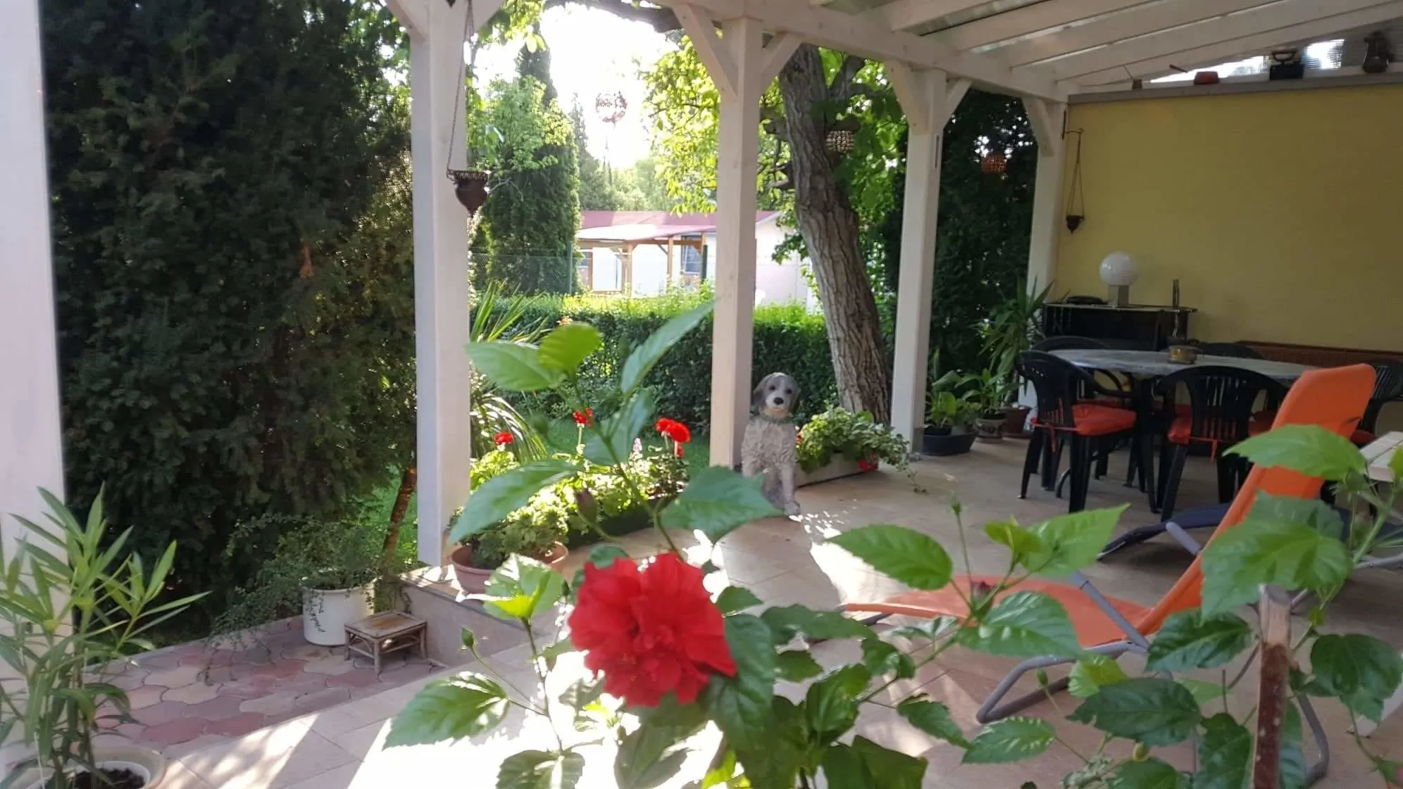 Tavirózsa Apartman Balatonfűzfő – Balatonfűzfő, Węgry