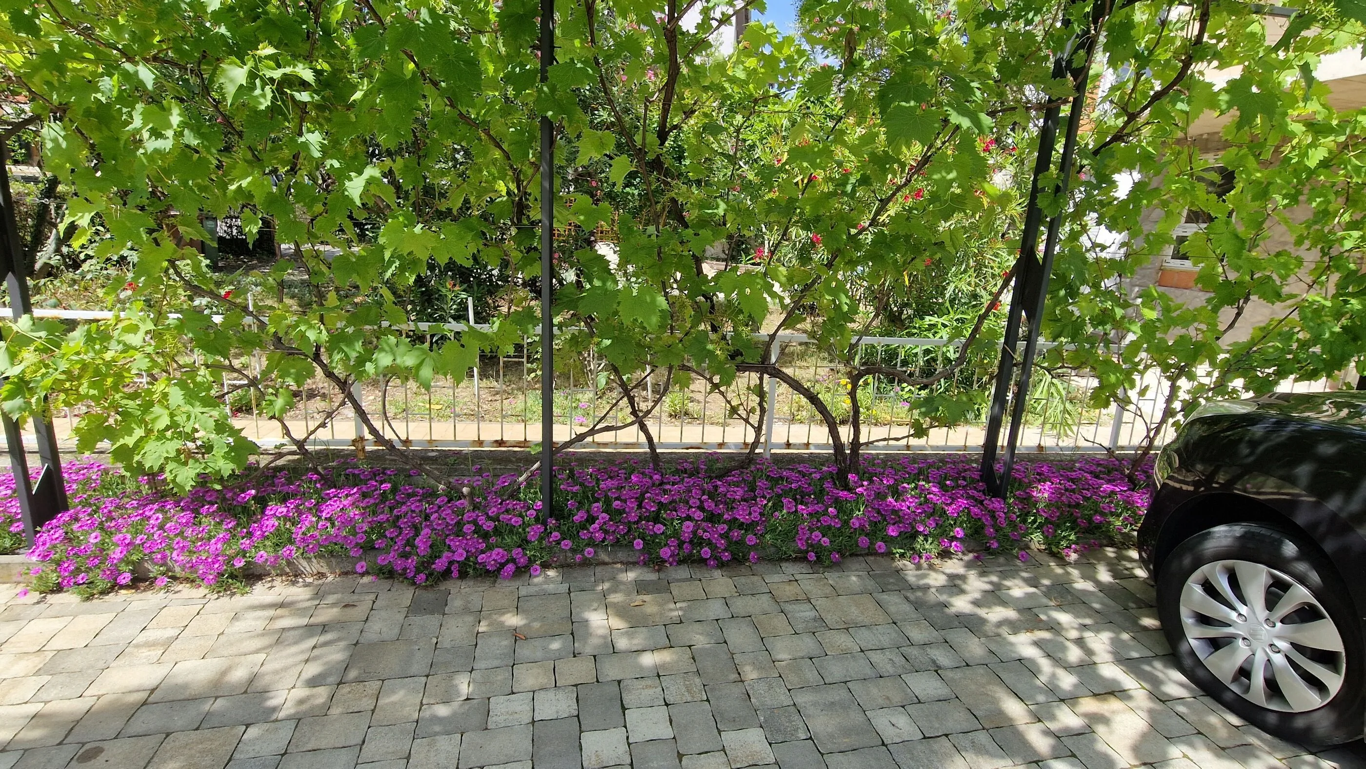 Apartments Pipo Krk – Krk, Croația