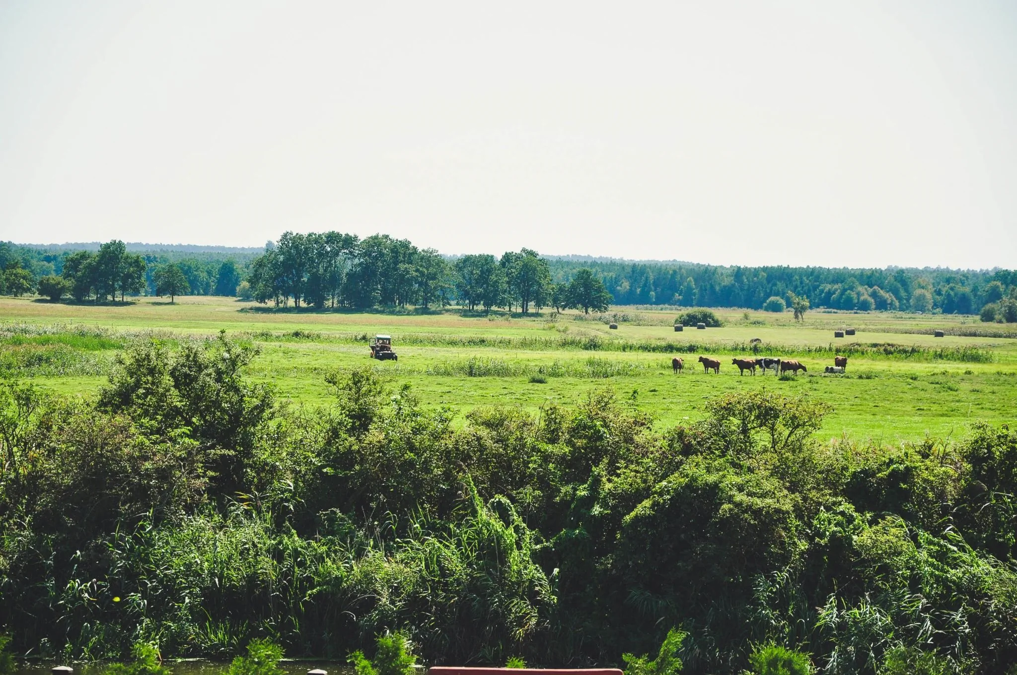 Żwirowa Góra Domki nad Narwią Tykocin – Tykocin, Polonia