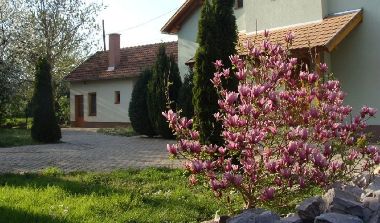 Elek Vendégház Nagyszénás – Nagyszénás, Ungaria