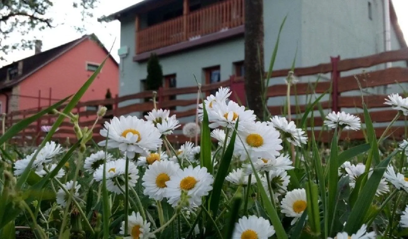 Elek Vendégház Nagyszénás – Nagyszénás, Ungaria