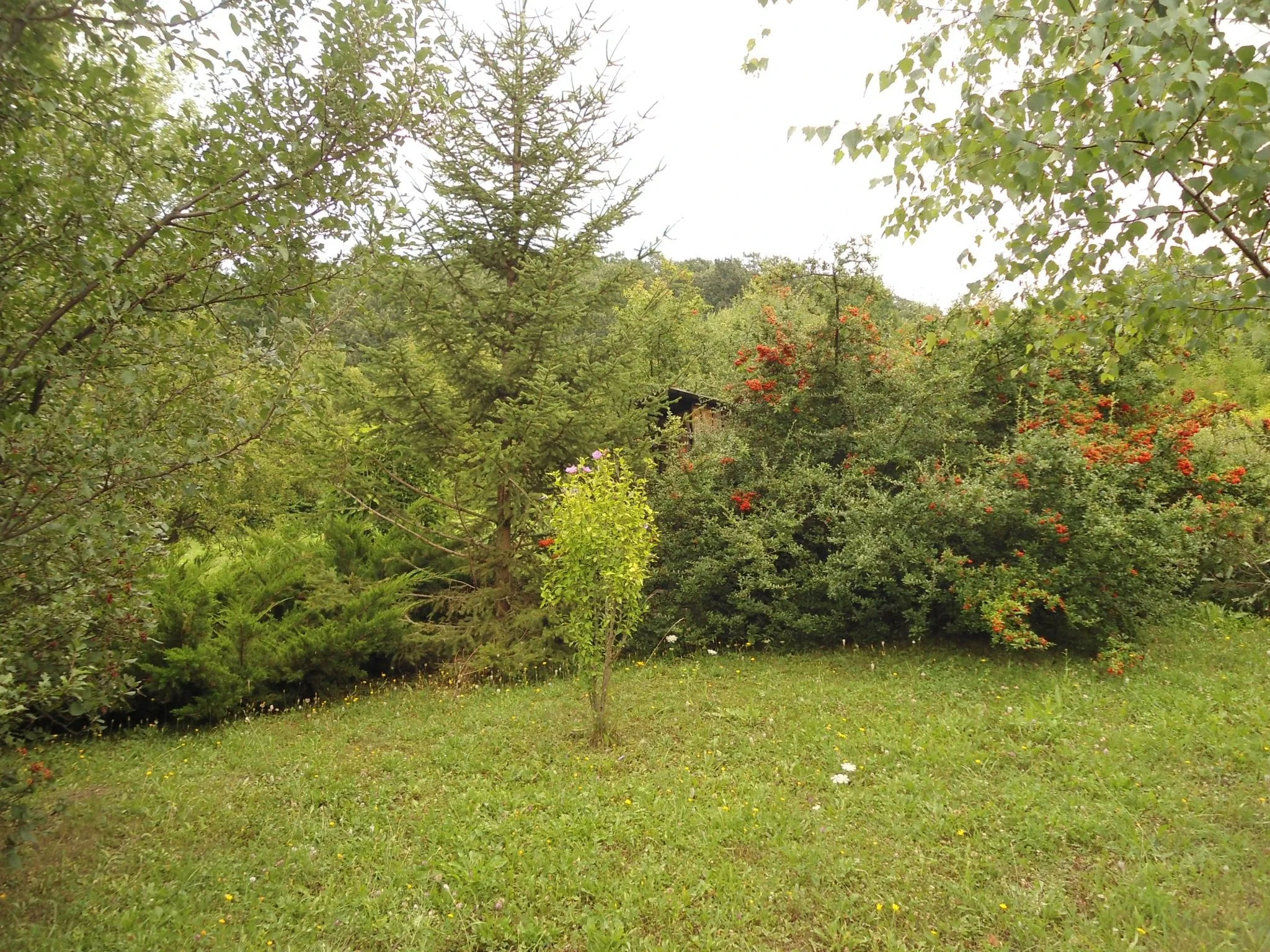 Panoráma Vendégház Varbó – Varbó, Ungaria