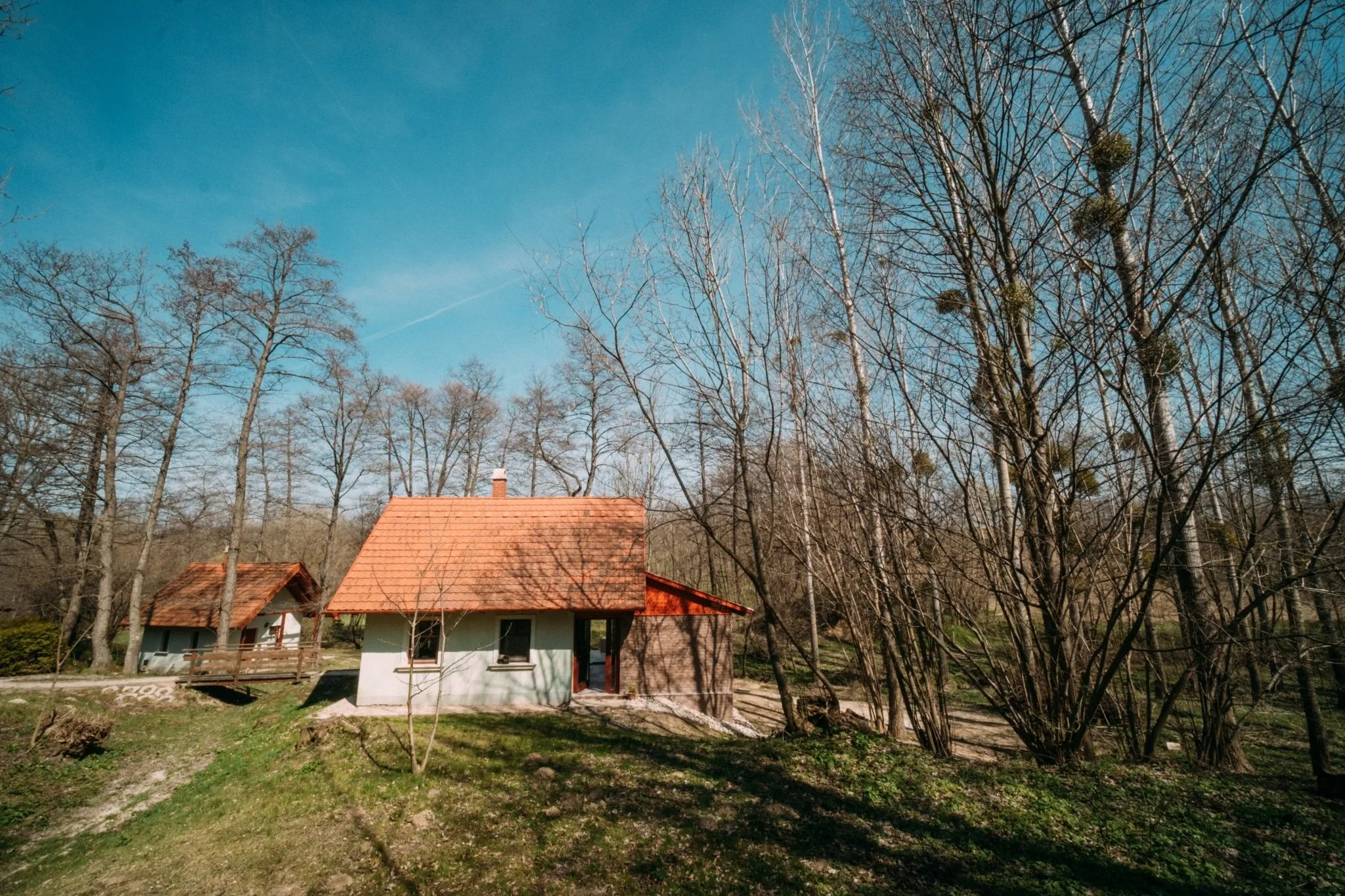 Forrás Vendégház Bakonyjákó – Bakonyjákó, Ungaria